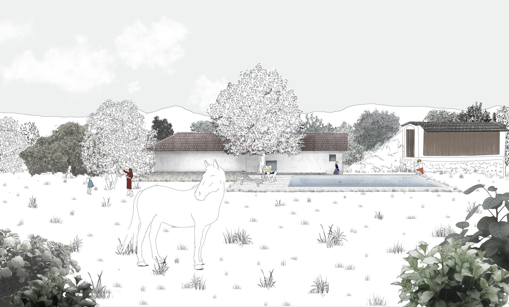 Elevation drawing showing low-lying volumes with tile roofs behind a grazing horse and scattered trees