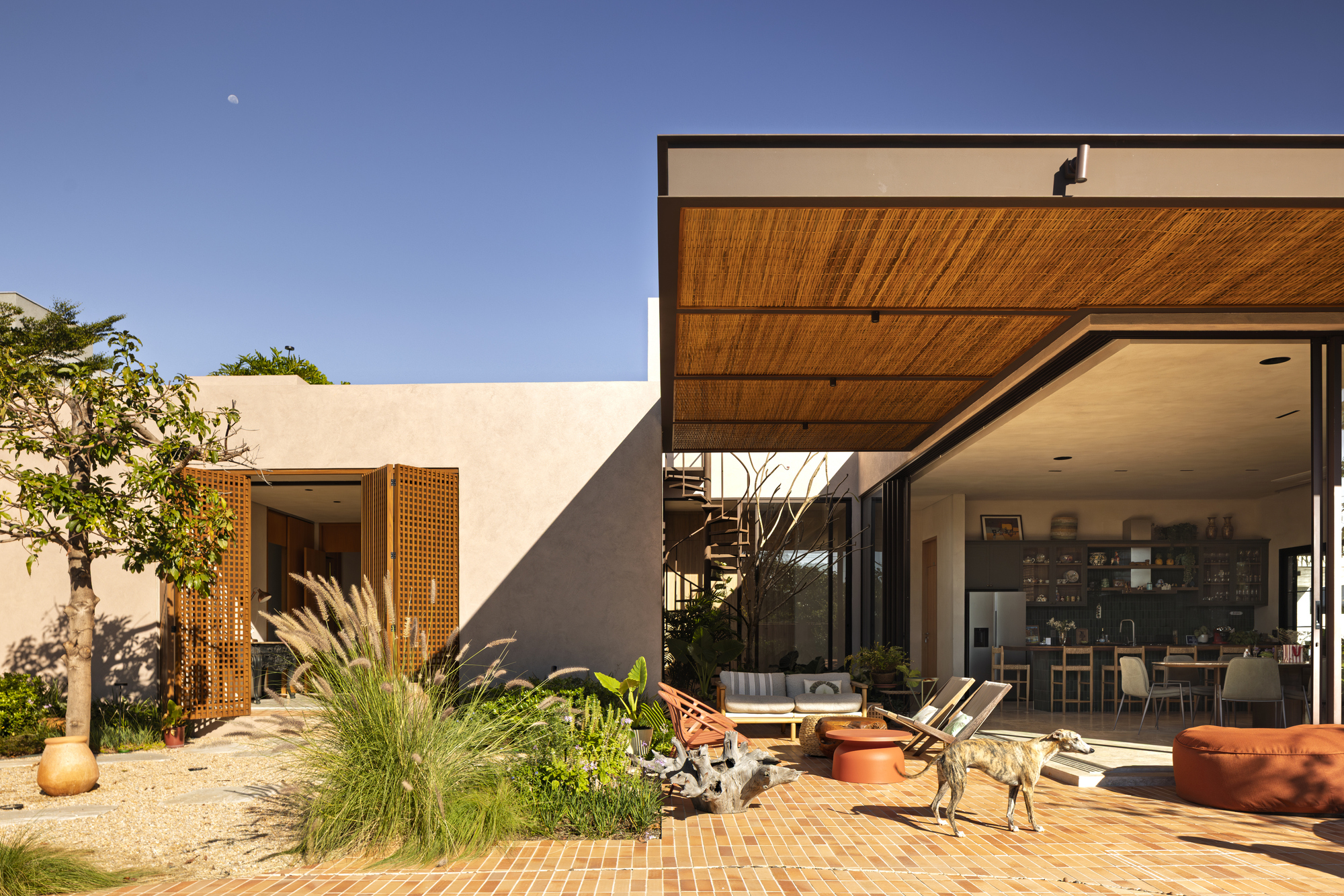 Courtyard terrace with timber overhang and perforated wood screens beside a planted garden bed