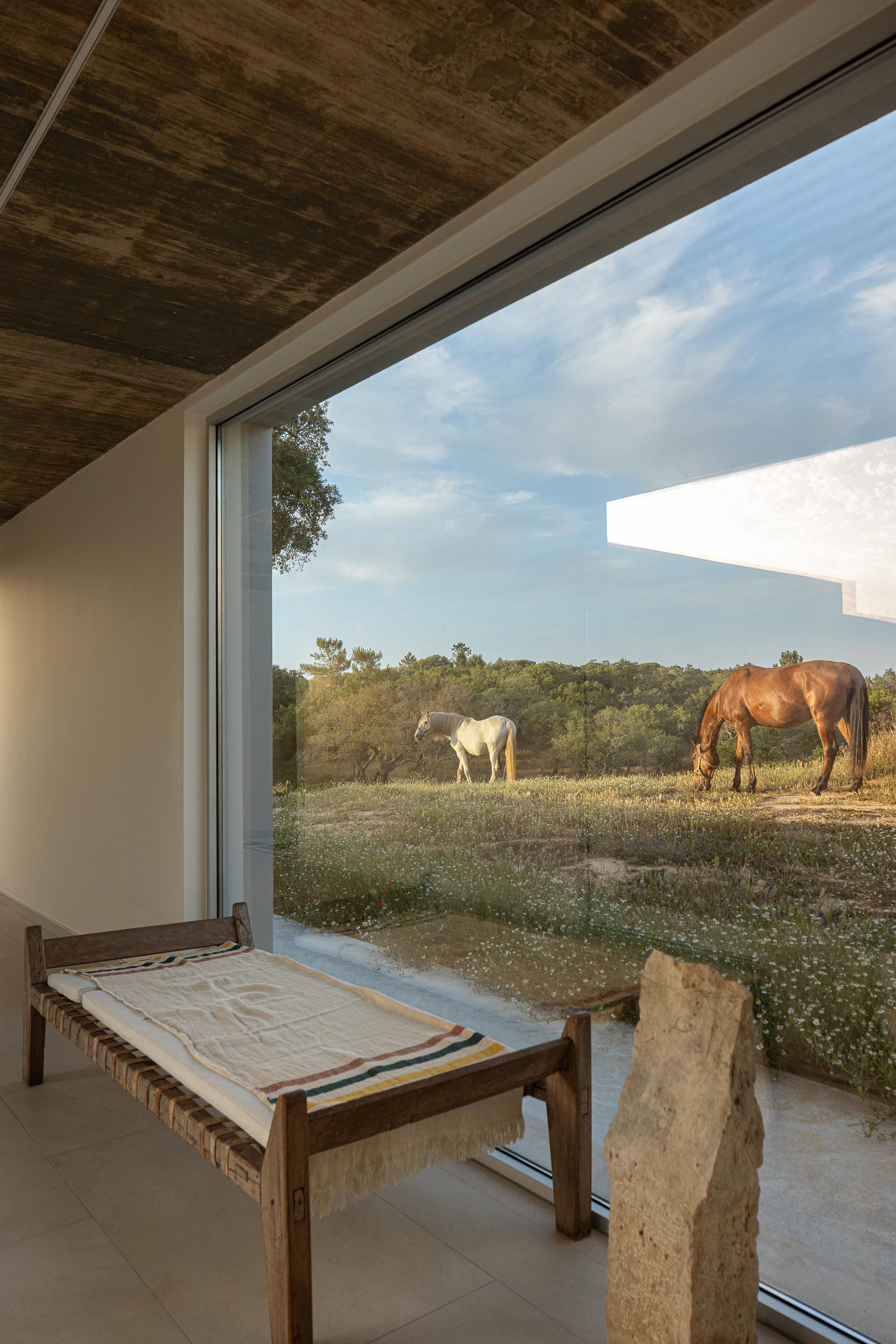Corner window seat looking out to horses grazing under a timber soffit at golden hour
