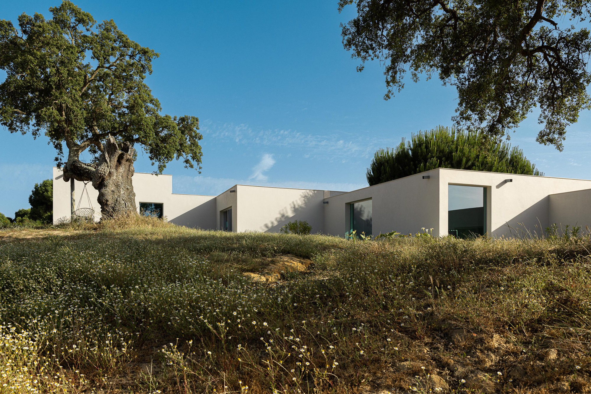 Stepped white volumes across the sloping site with cork oaks framing the composition under blue sky
