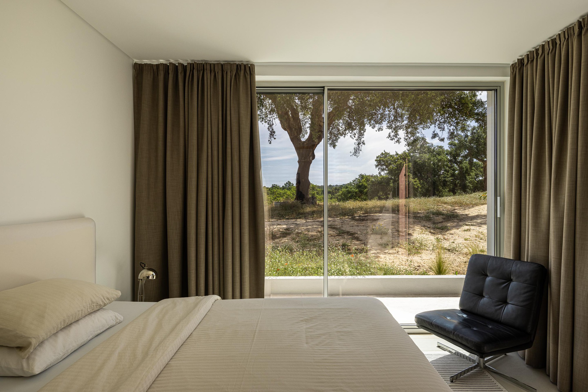 Bedroom with floor-to-ceiling glazing framing an old olive tree in the dry landscape beyond