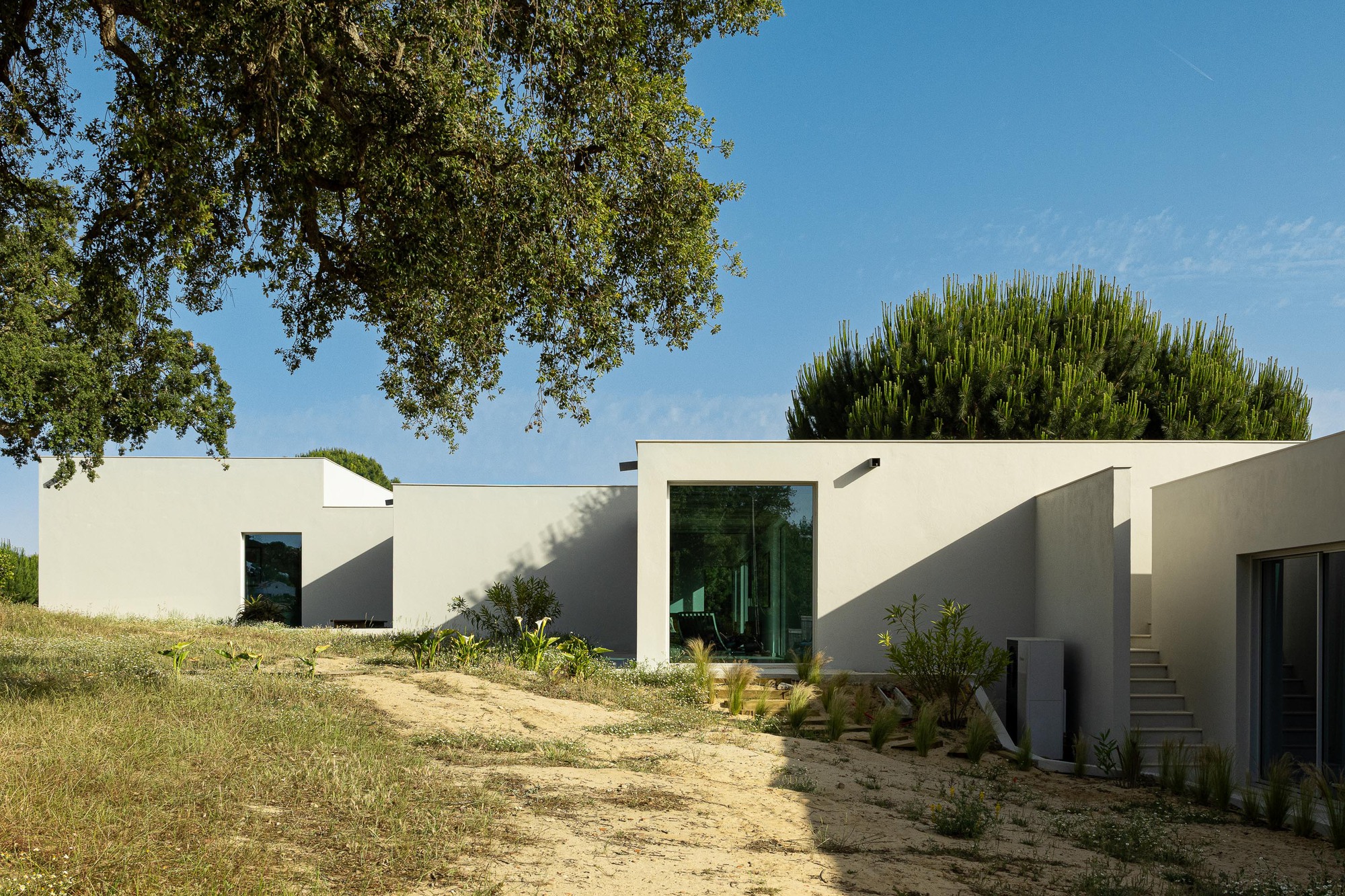 White rendered volumes set into sloping terrain with mature oak trees and native plantings in dry soil