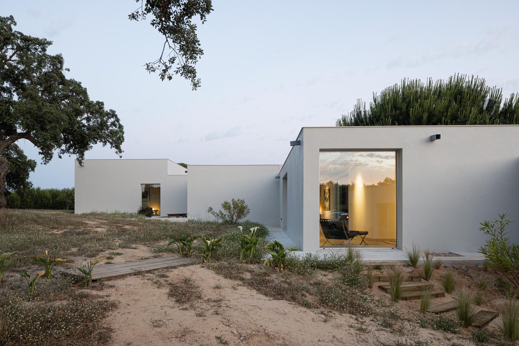 Courtyard view showing glazed openings with warm interior lighting at dusk and scattered young plants in sandy ground