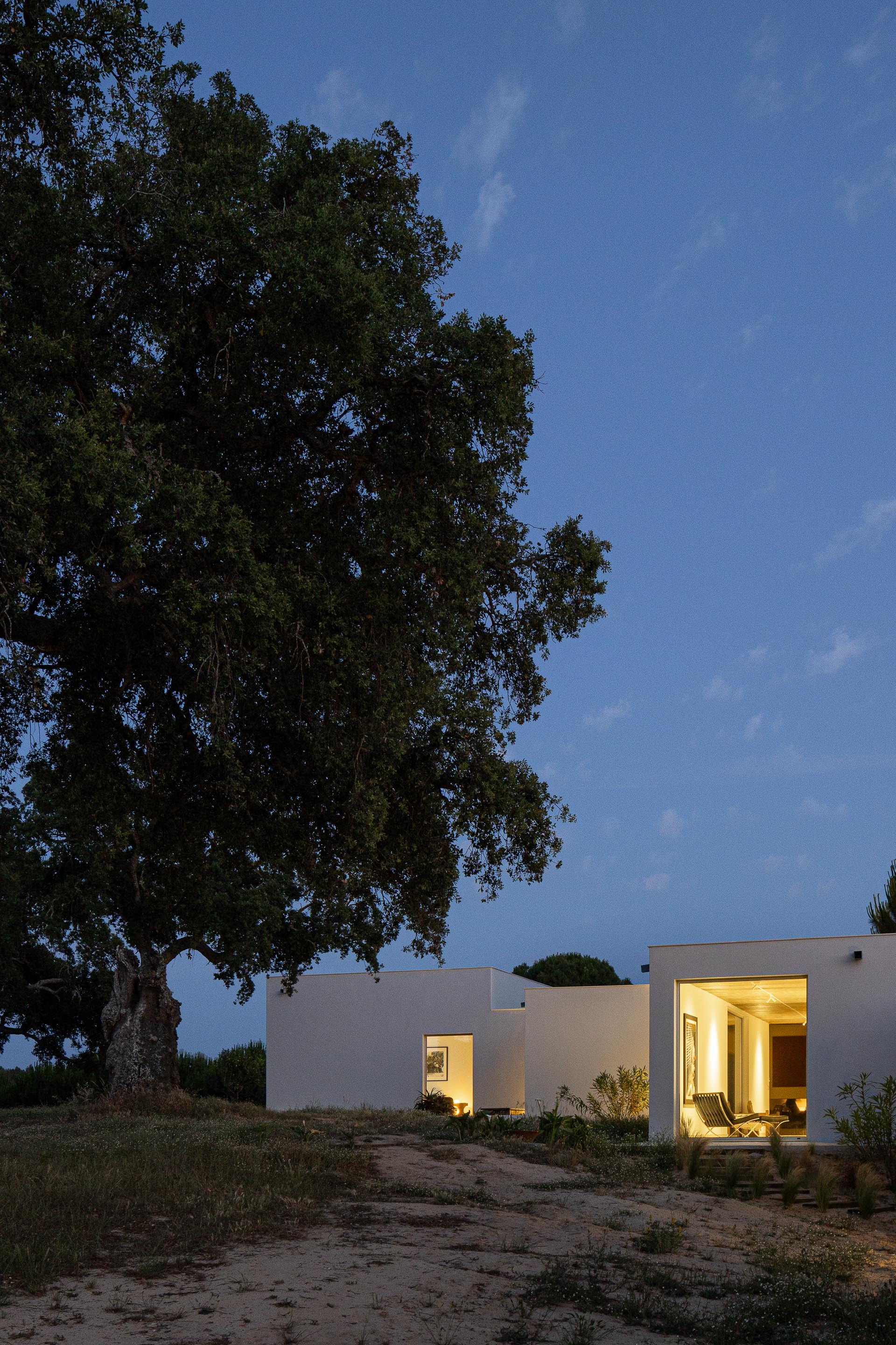 White stucco volumes with illuminated openings beneath an old oak tree at twilight