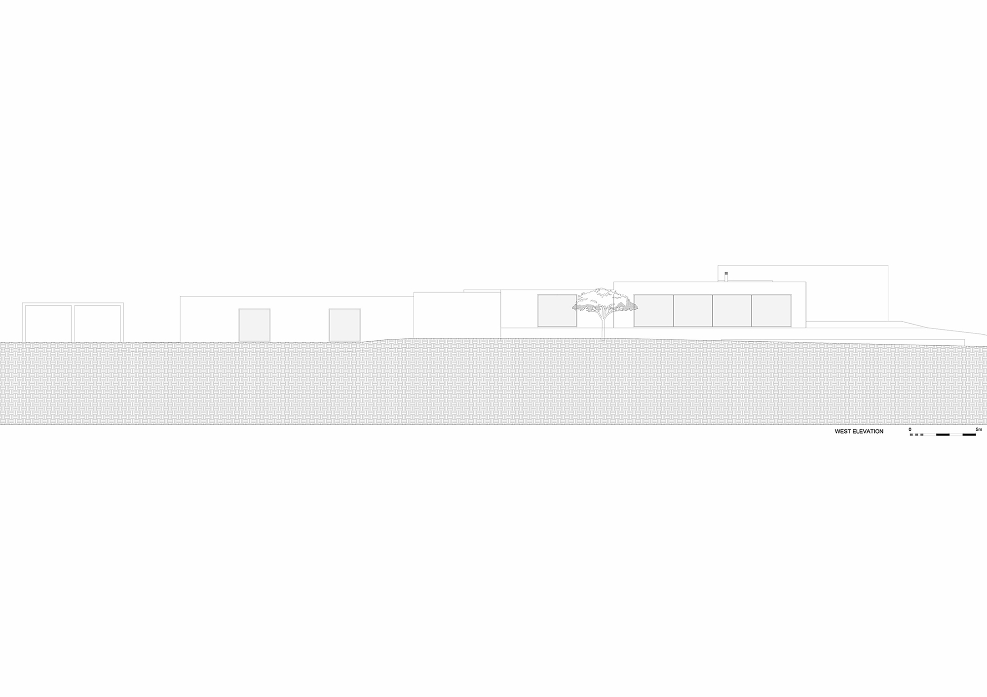West elevation drawing depicting linear pavilions stepping along the hillside grade with central tree