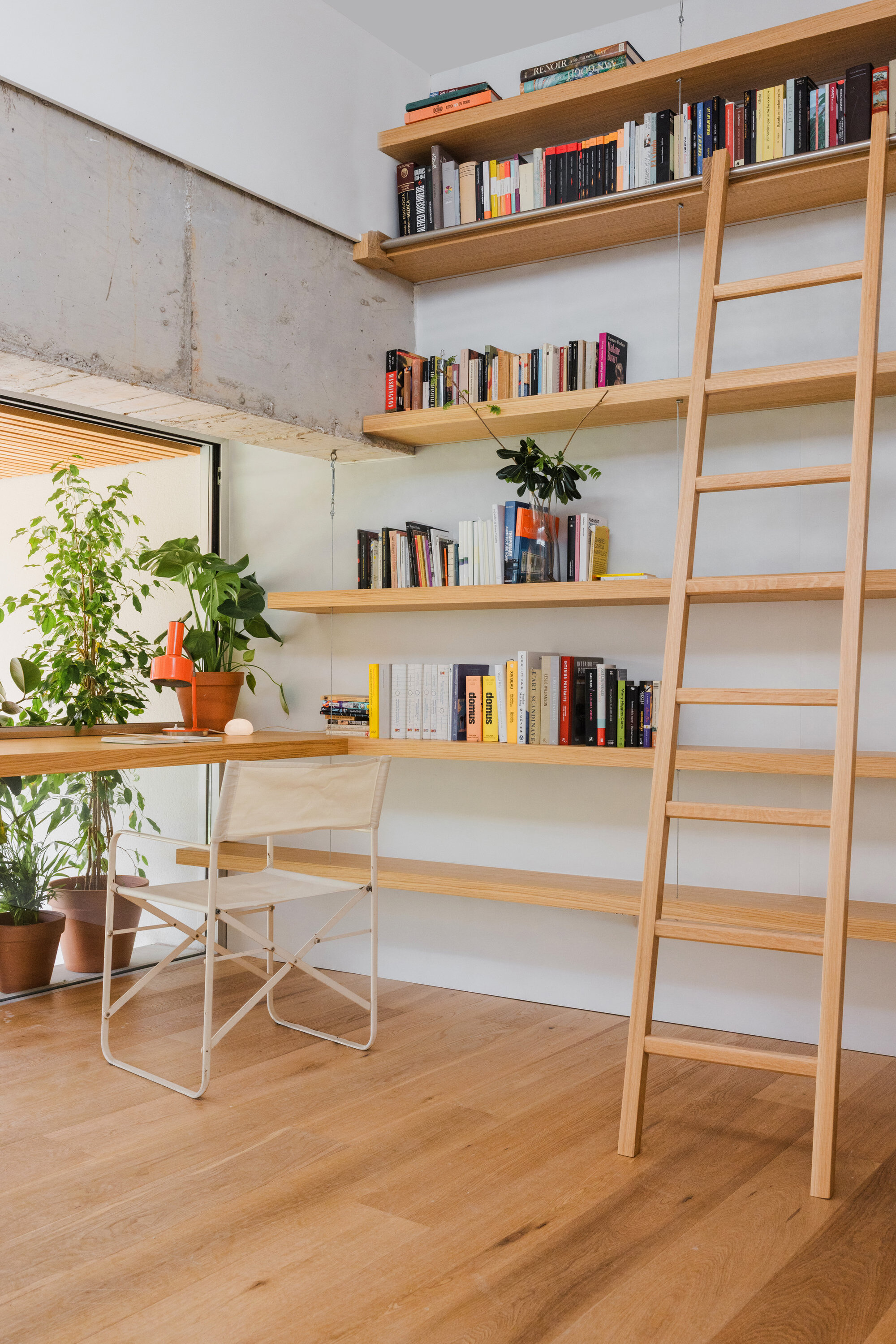 Timber bookshelf wall with library ladder against exposed concrete beneath a window with potted plants
