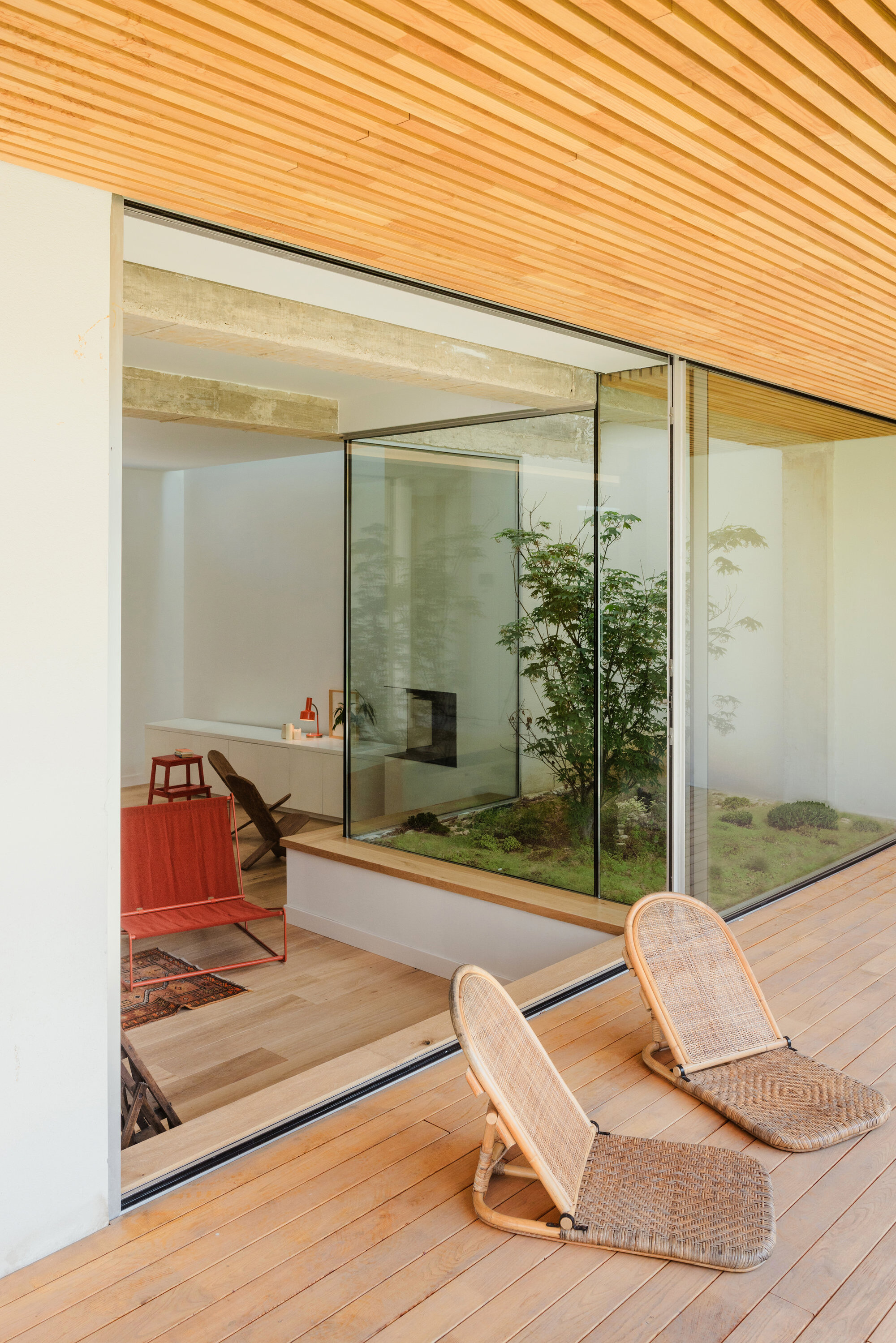 Timber deck terrace with slatted ceiling soffit opening to interior courtyard garden through glazed walls