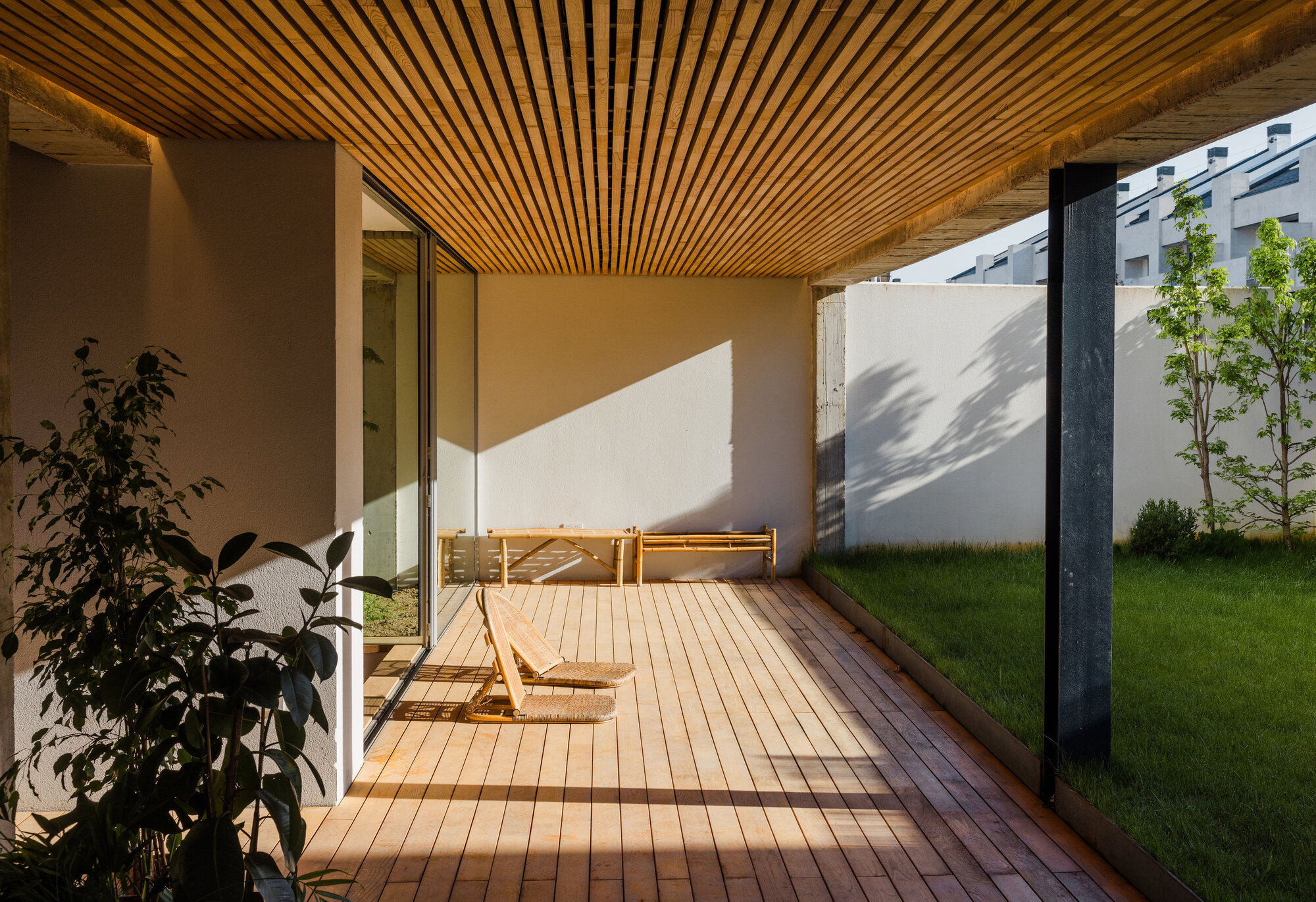 Covered timber deck with slatted ceiling overlooking private courtyard garden in afternoon sunlight