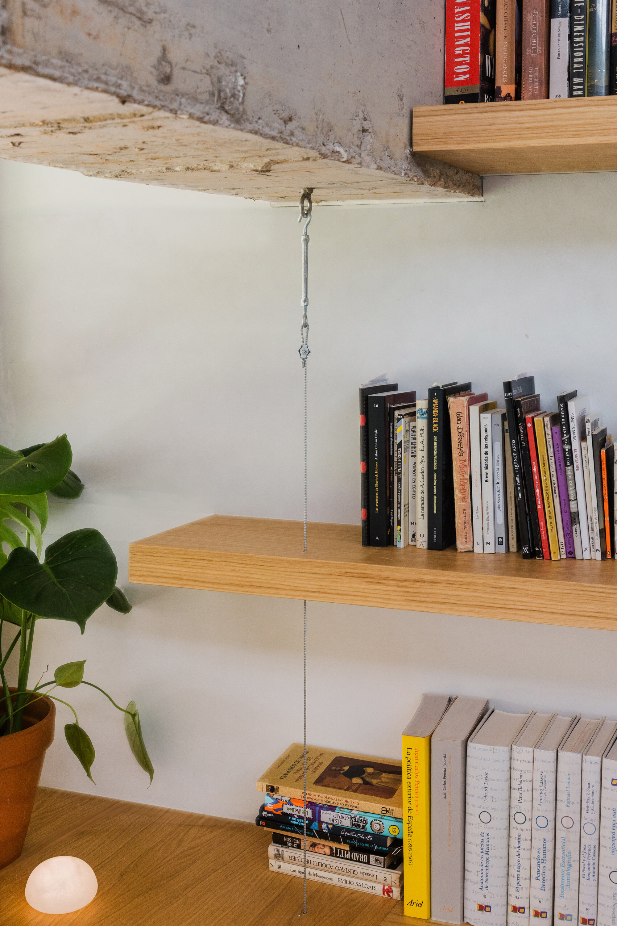 Detail of floating timber shelves supported by steel cable suspended from exposed ceiling structure