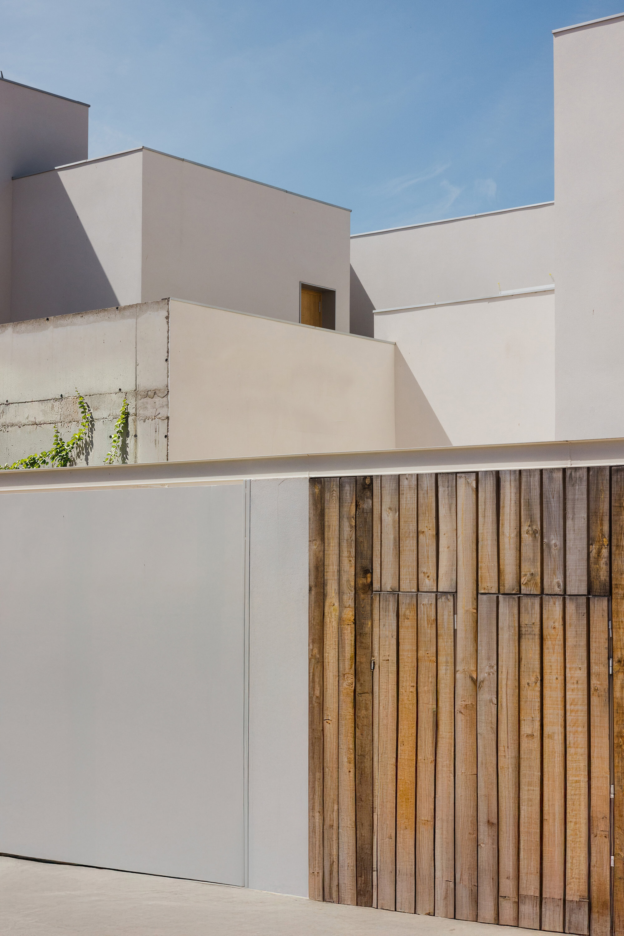 White rendered volumes with timber gate panels and climbing vines on concrete base wall