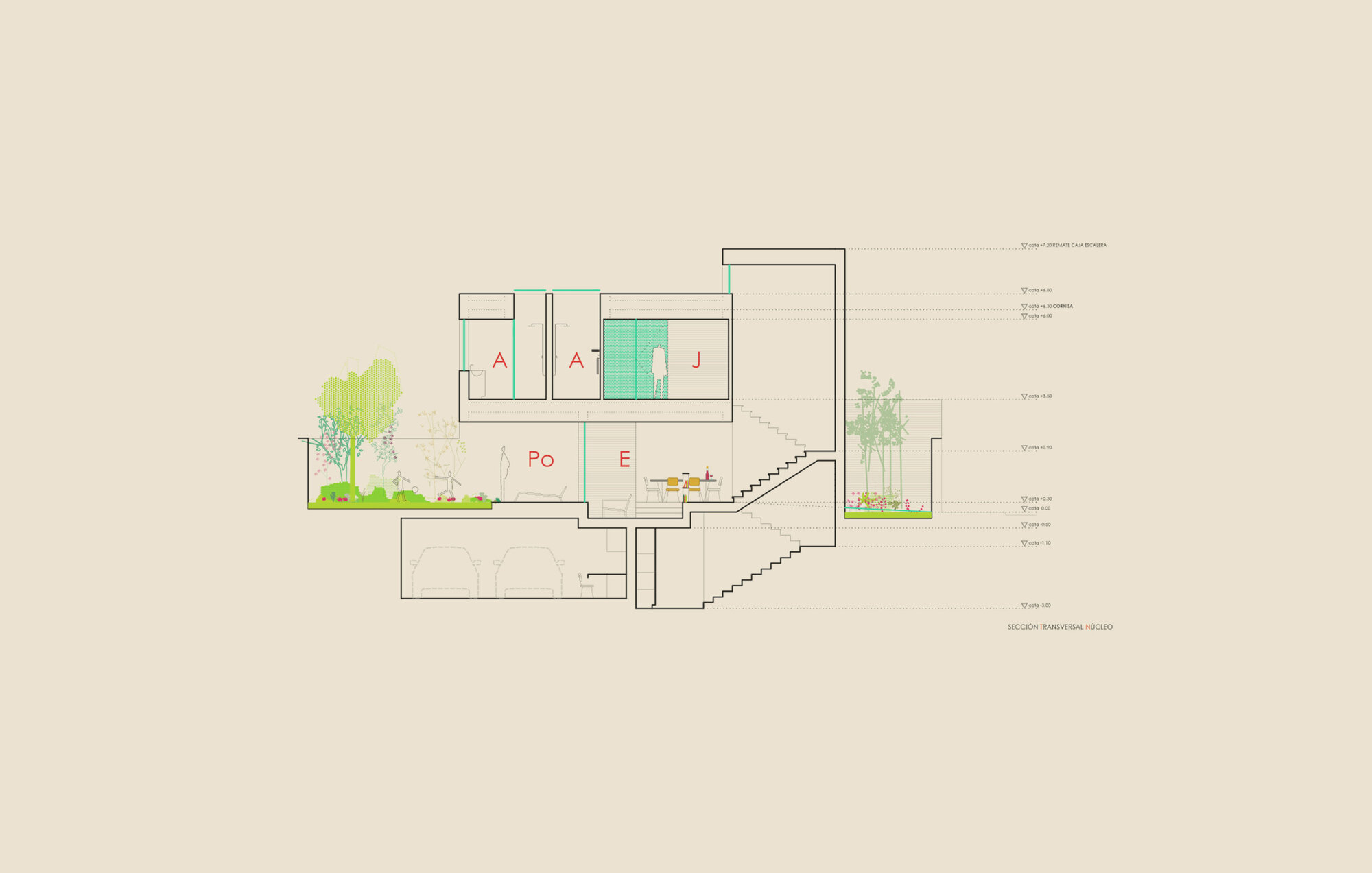 Section drawing showing multi-level volumes with stairs and planted courtyards