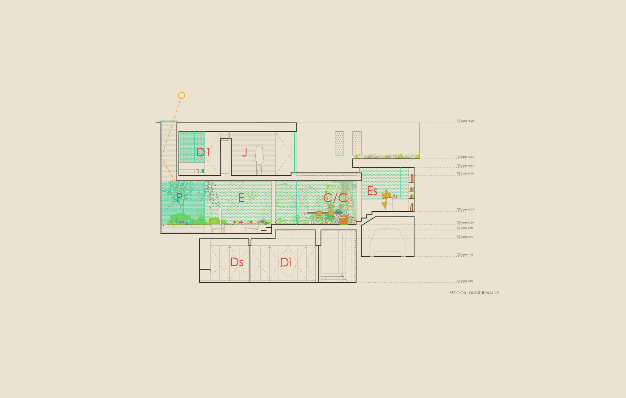 Longitudinal section drawing showing rooms with a planted interior courtyard and rooftop terrace