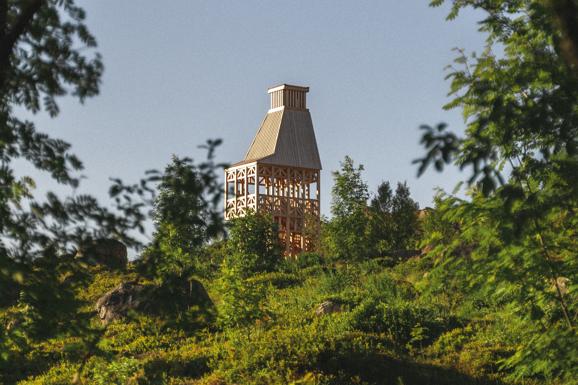 Timber bell tower with open lattice walls and pyramidal roof rising above summer birch trees