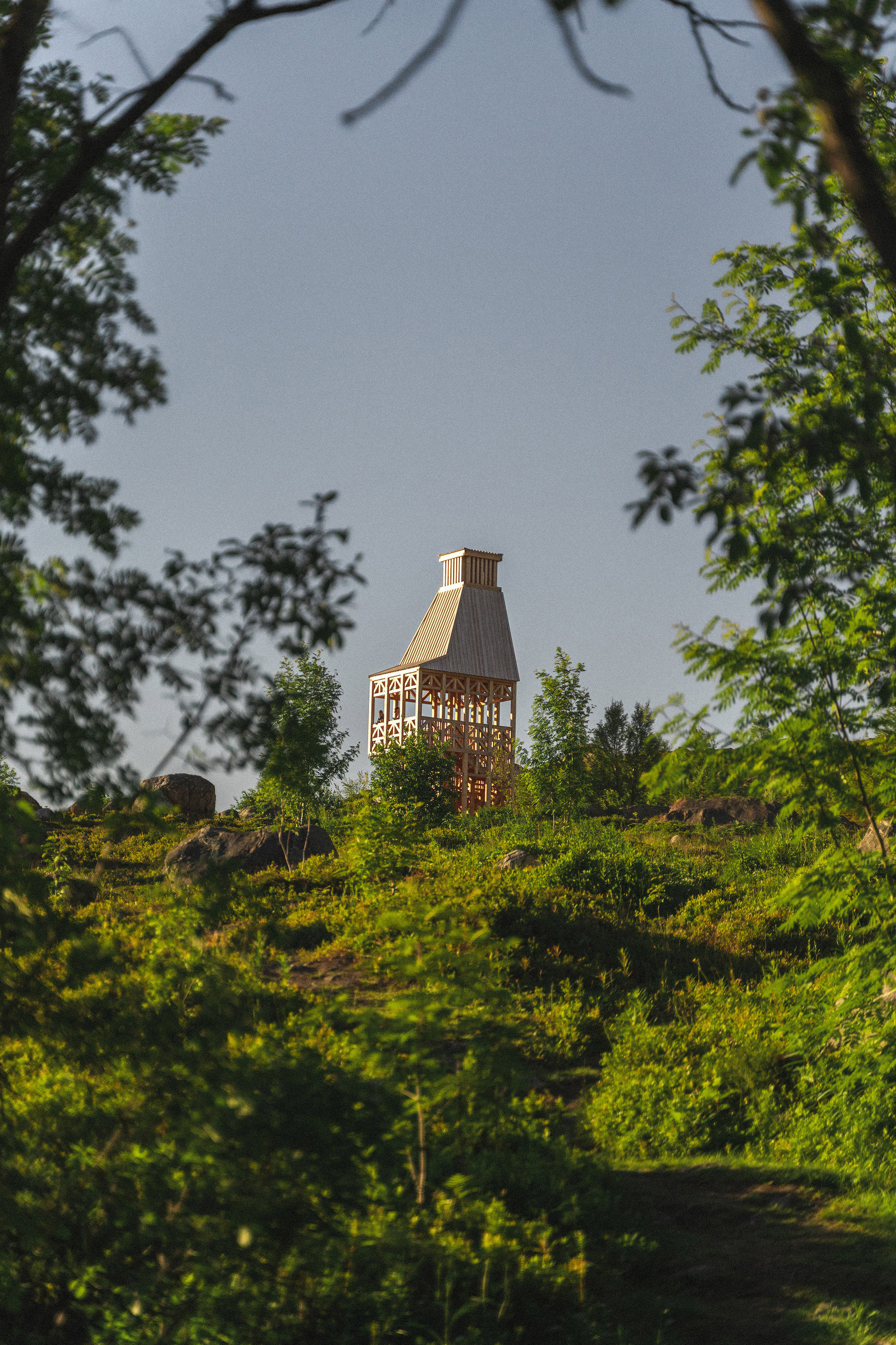 Distant view of the timber tower framed by tree branches on a hillside