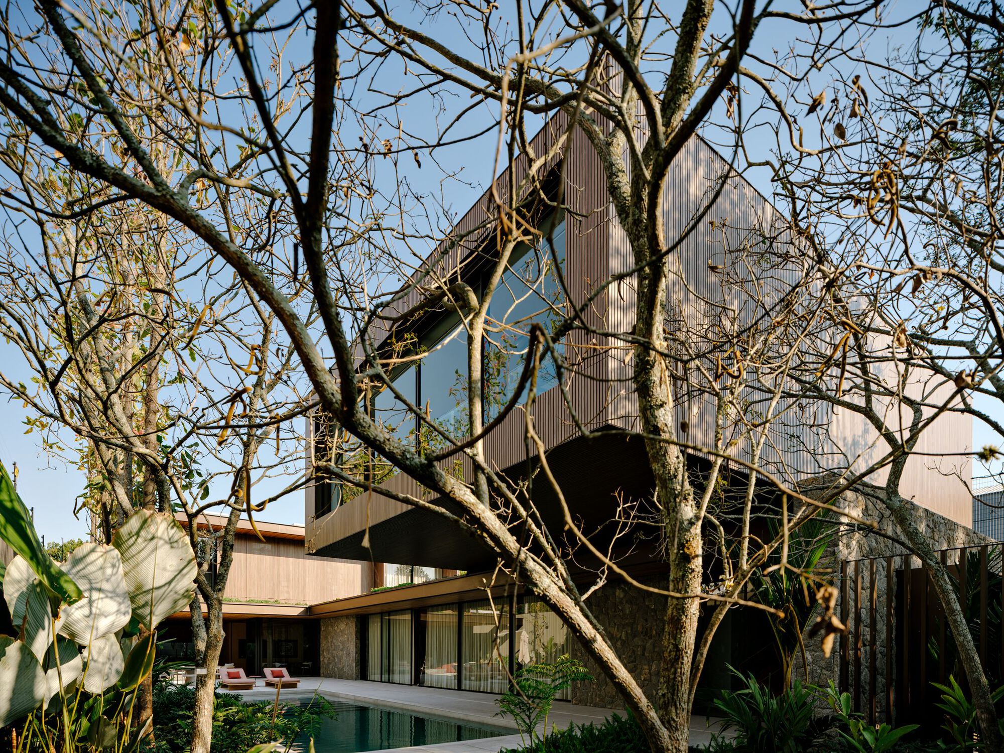 Vertically ribbed tower facade framed by bare tree branches and poolside plantings