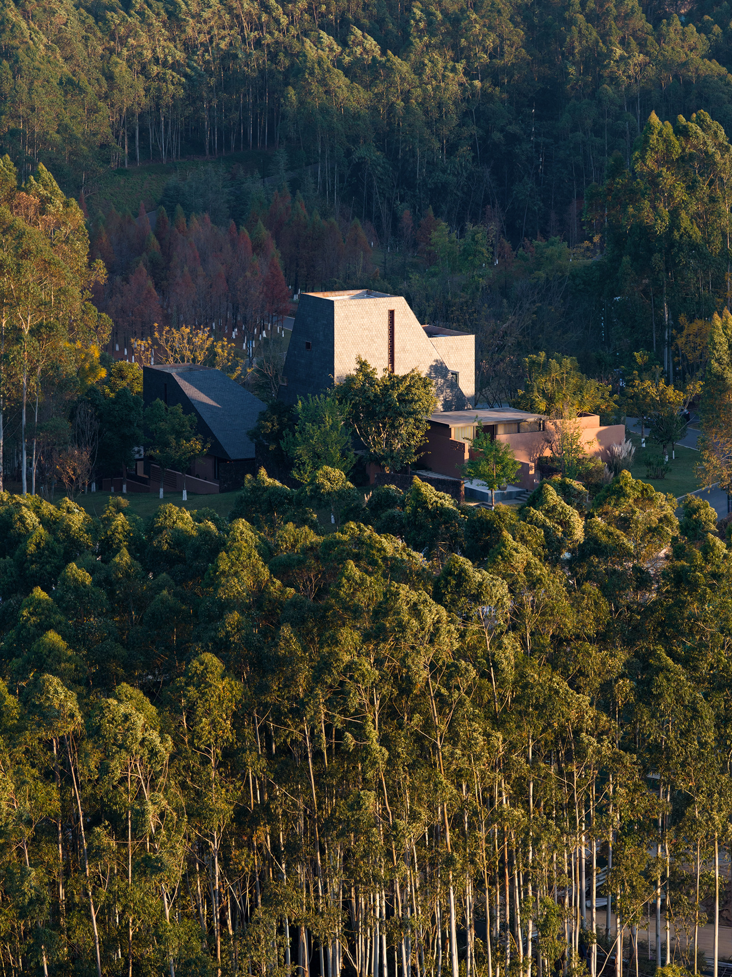 Aerial view of the compound with angled roofs nestled among eucalyptus trees in golden afternoon light