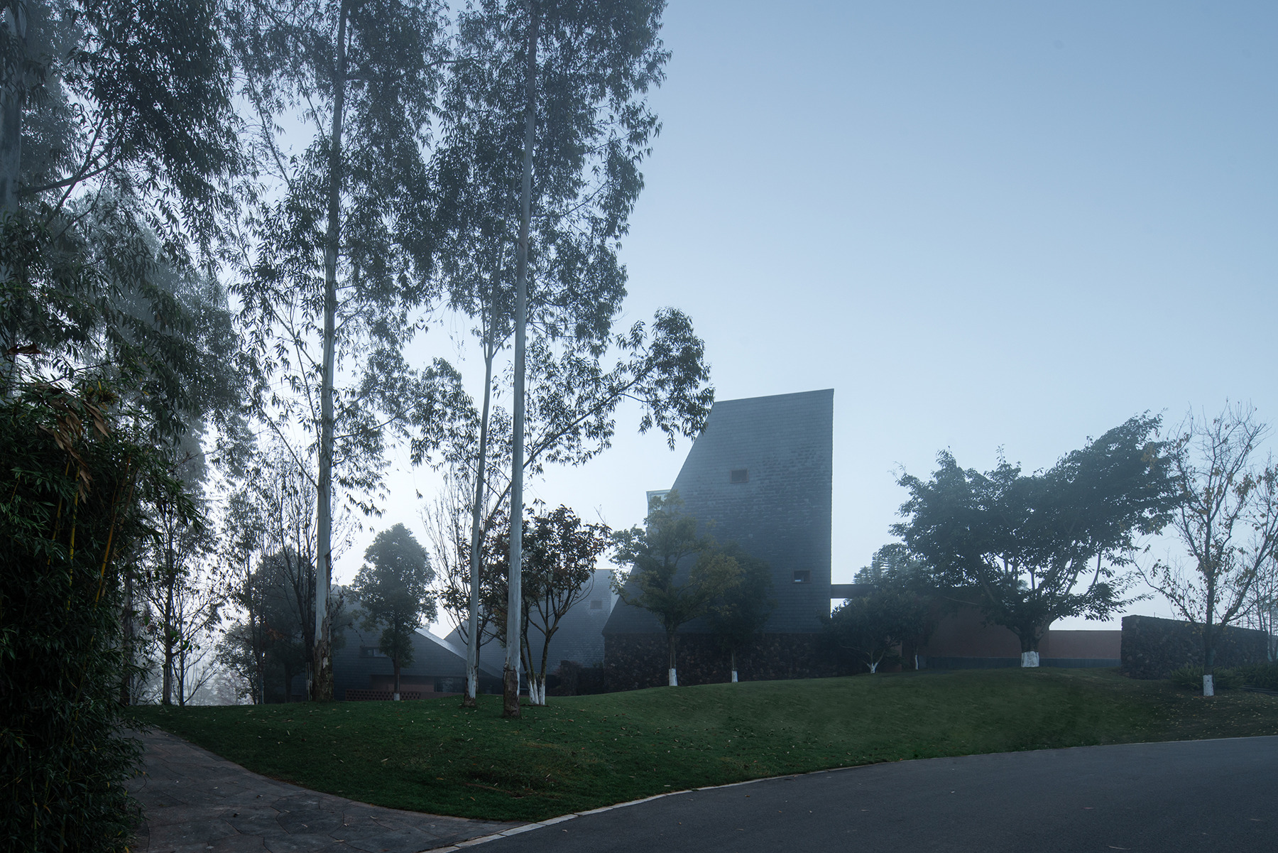 Faceted volumes rising from the lawn among eucalyptus trees in morning mist