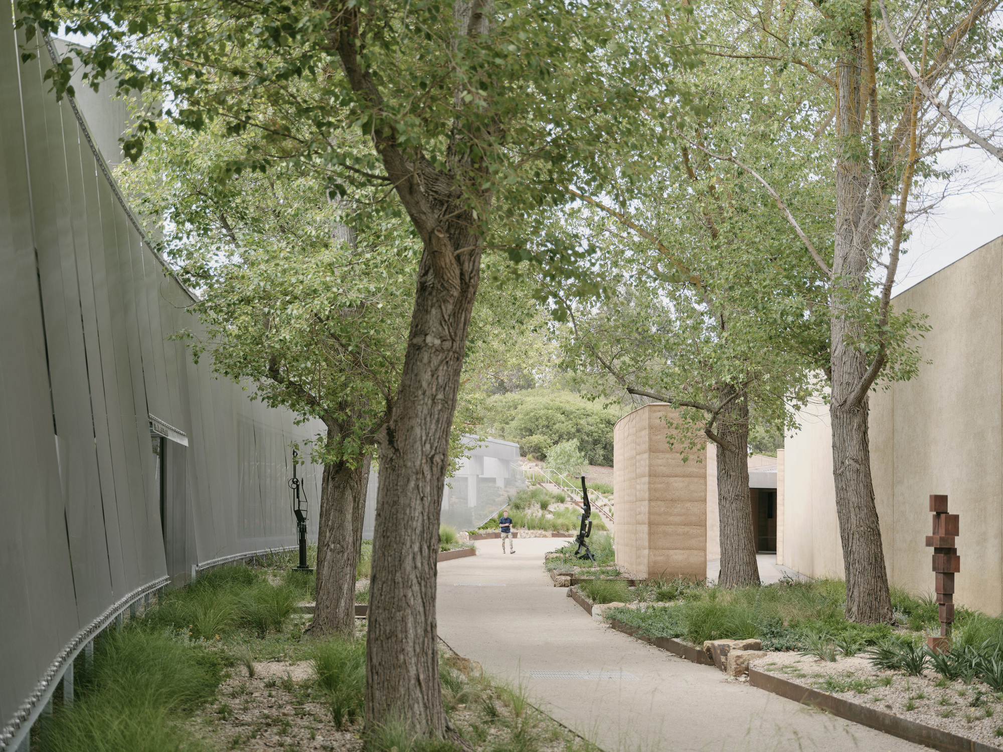 Curved pathway through a grove of mature trees with concrete volumes and a sculpture visible between trunks