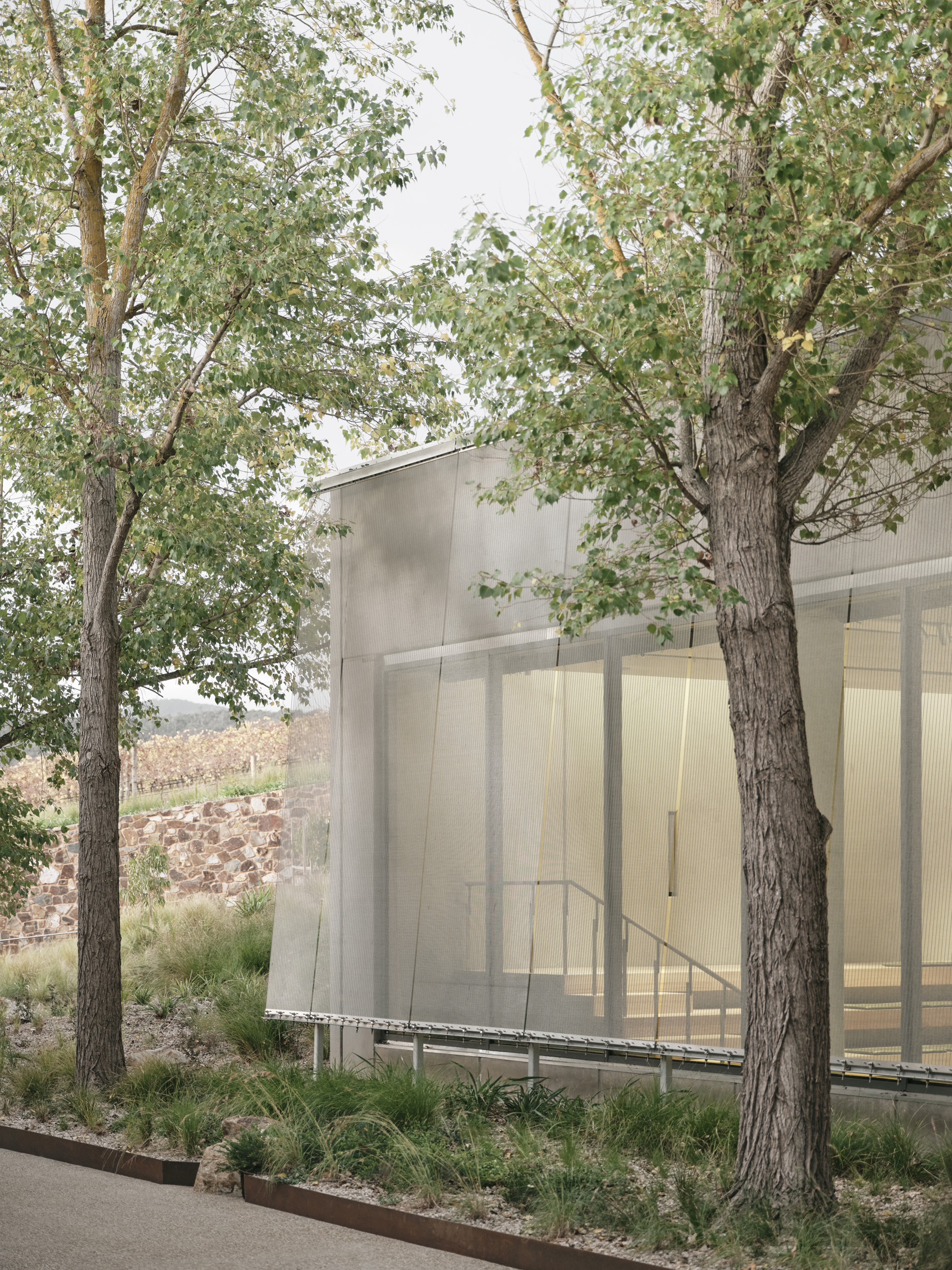 Glass-enclosed stairwell volume behind translucent panels nestled among trees with a view to hillside beyond