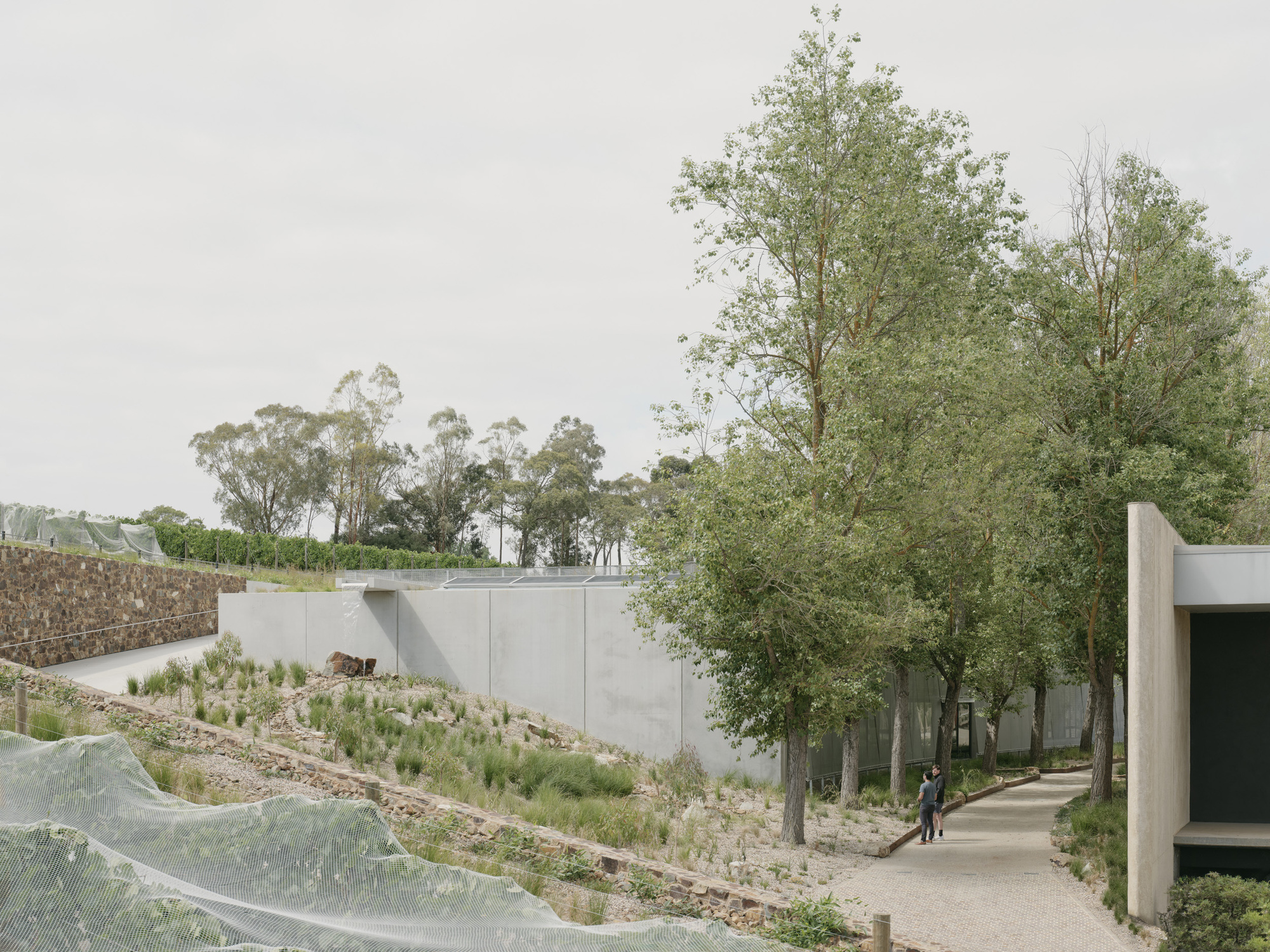 Concrete retaining wall along a sloped planted path with visitors walking beneath trees toward building volumes