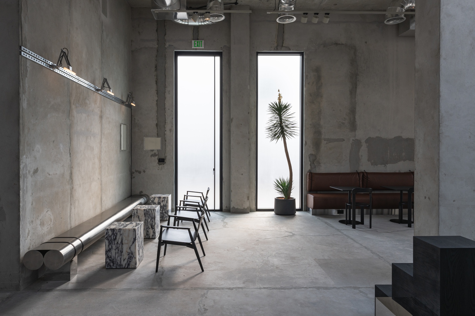 Double height window framing a tall desert plant against bright daylight