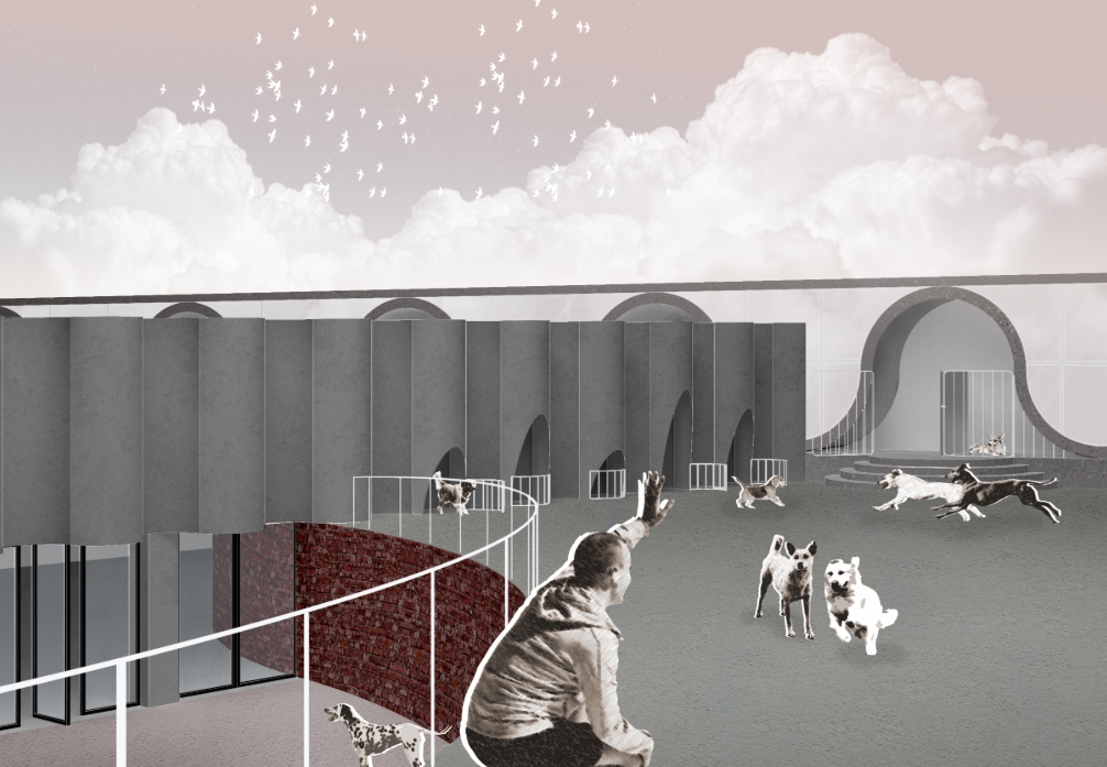 View of the kennels. Image: Jiamin Huang, Yunghan Chan