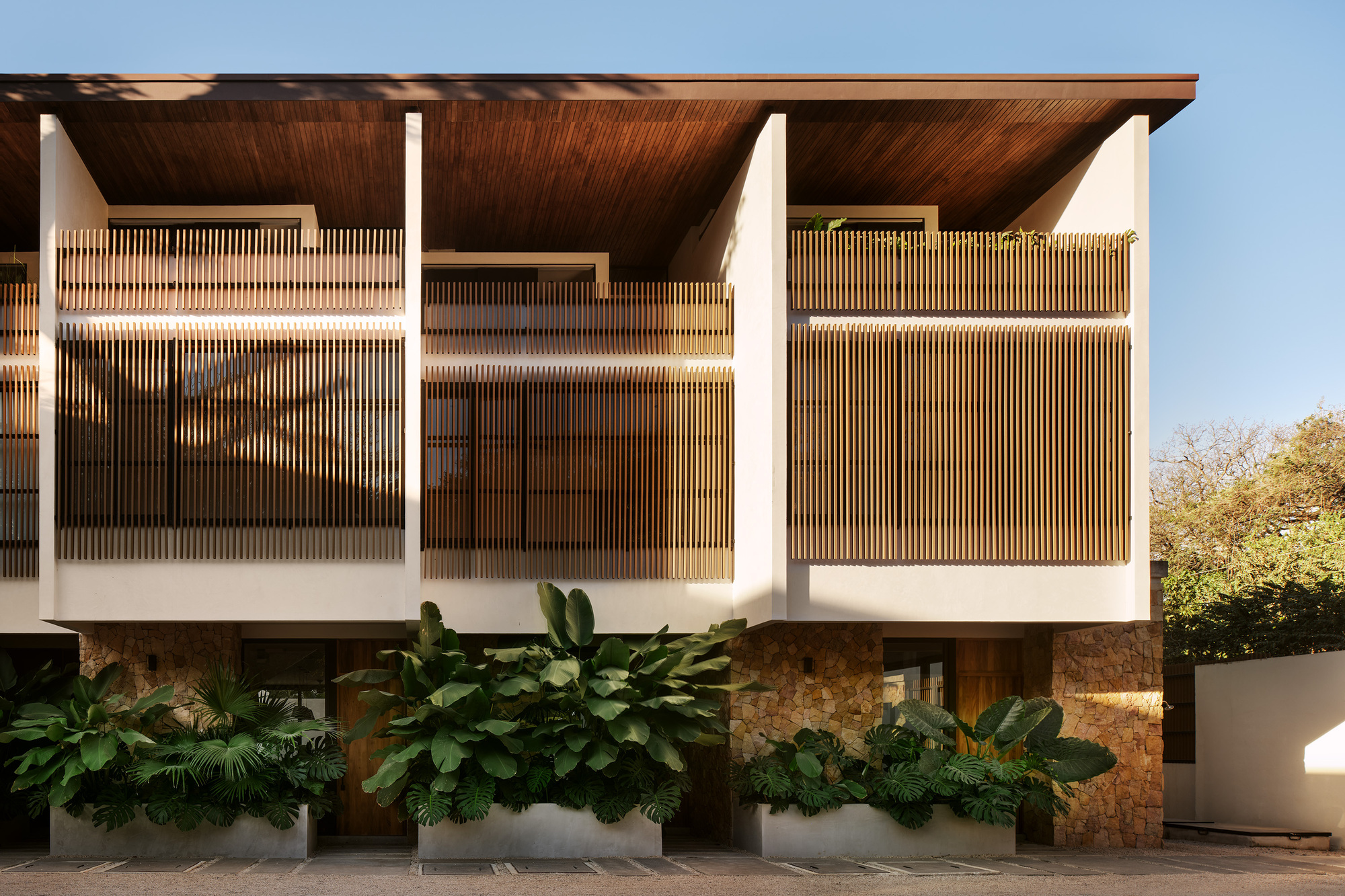 Elevated facade with vertical timber louvers and planted beds with tropical foliage at ground level