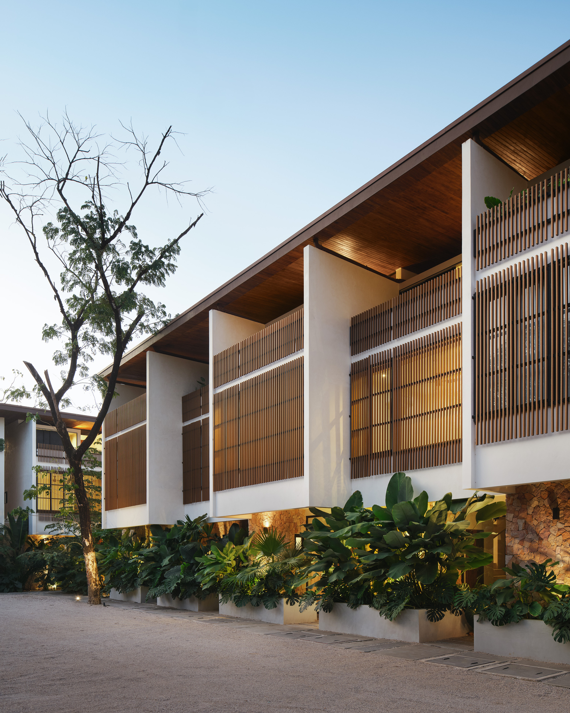 Elevated facade with vertical timber screens between white columns and planter beds beneath a tree at dusk