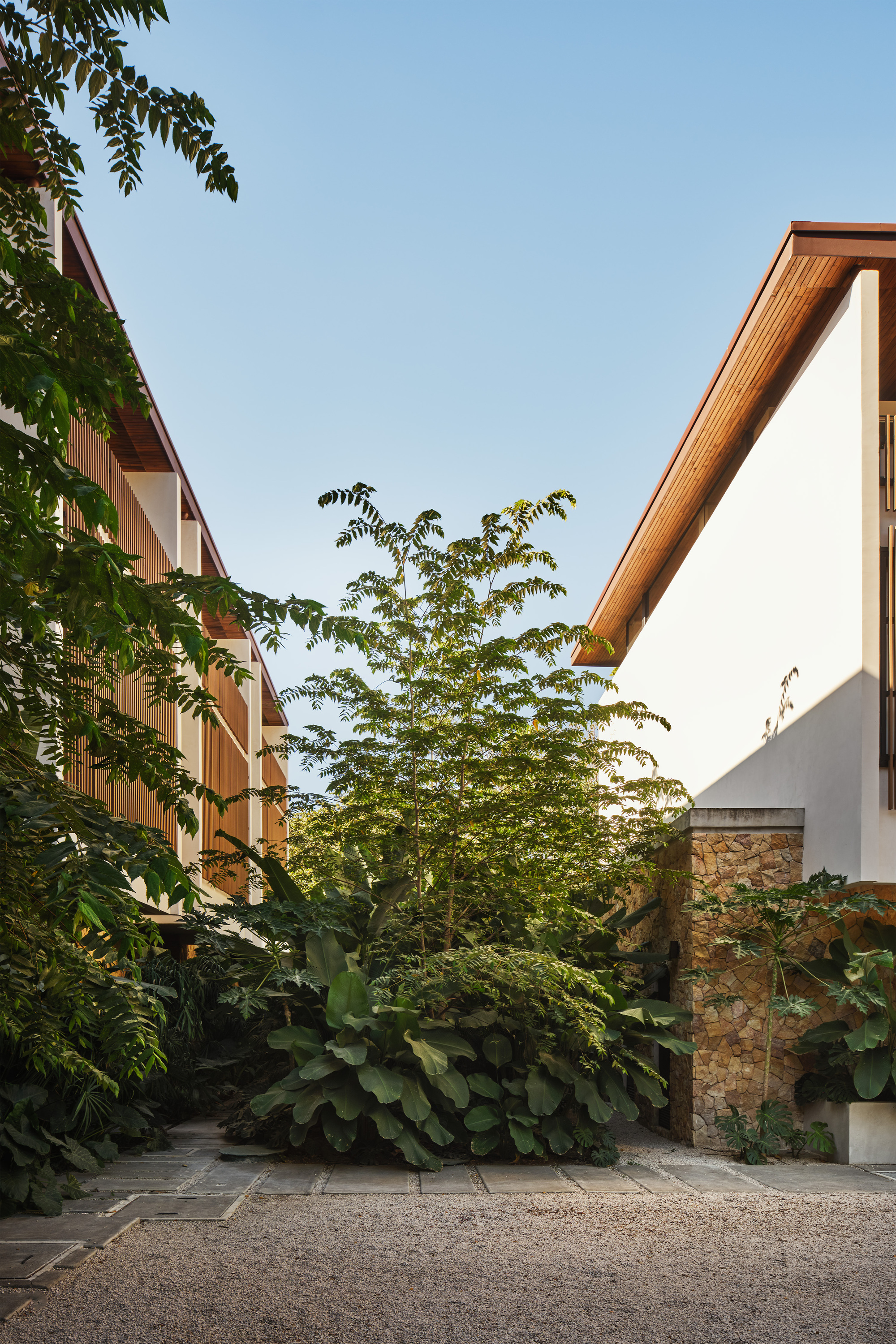Courtyard garden with gravel path and lush foliage between two timber-eaved volumes
