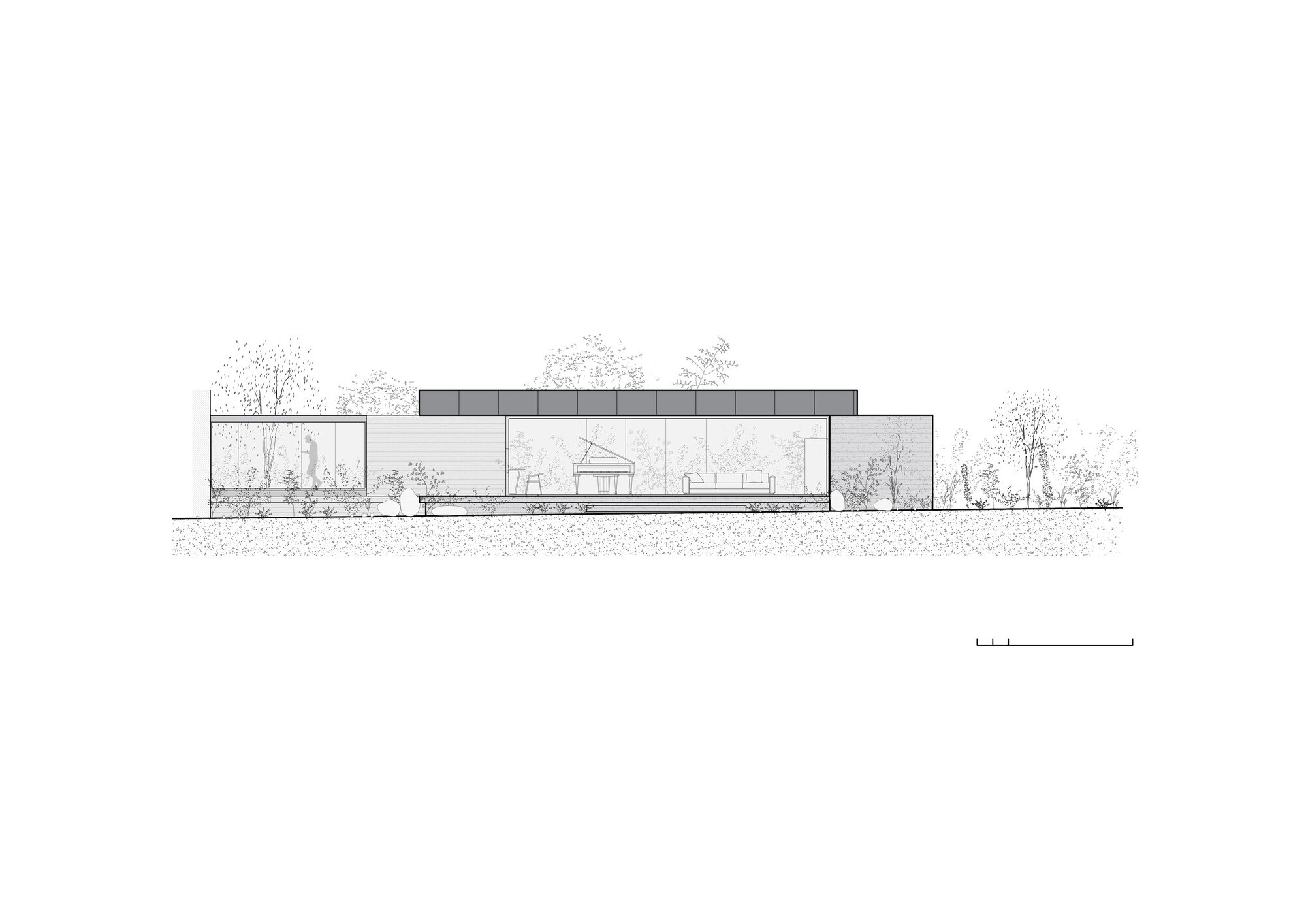 Elevation drawing showing a low horizontal volume with full-height glazing and flat roof amid trees
