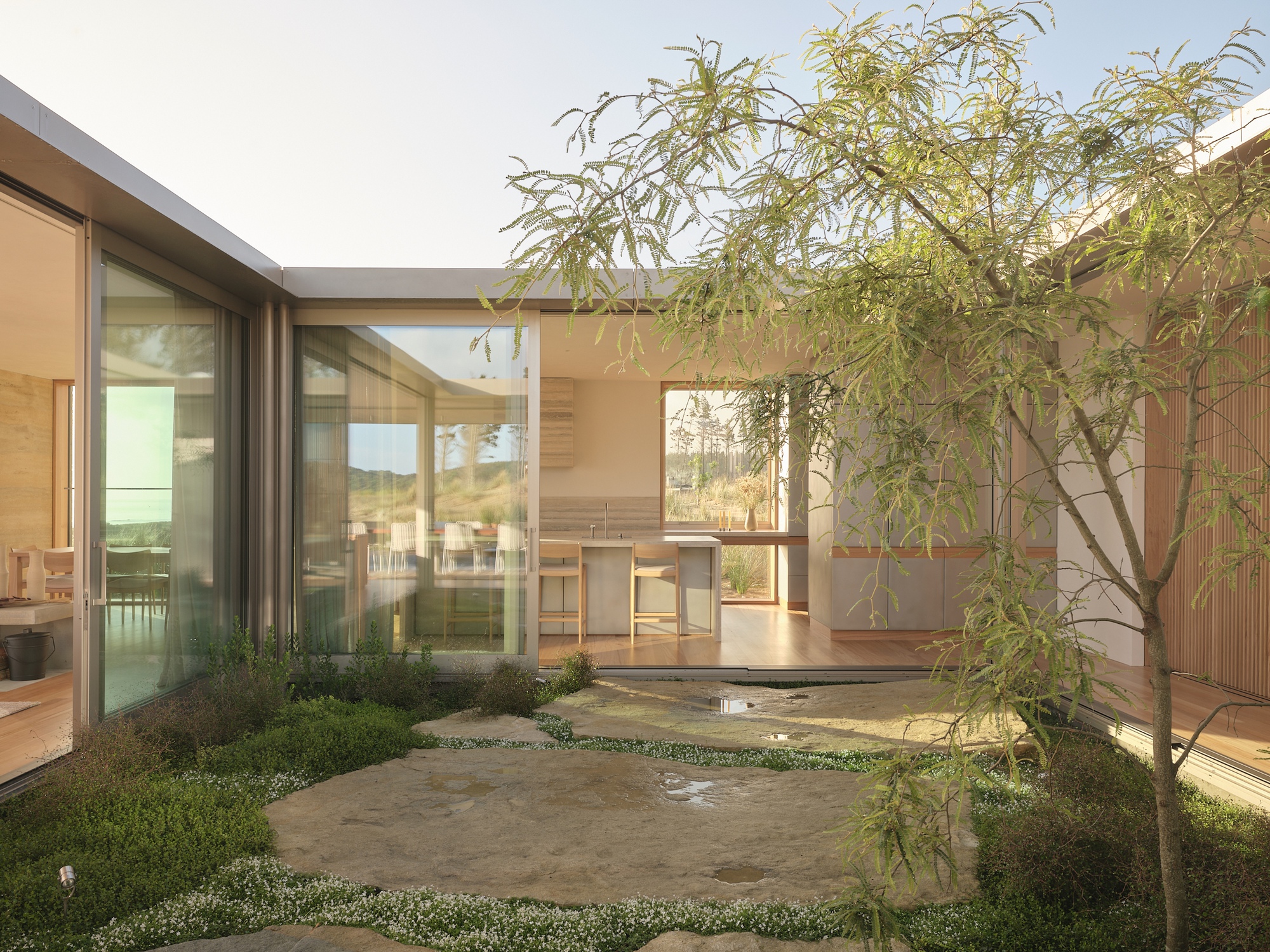 Interior courtyard with young tree, planted beds, and sliding glass walls framing the kitchen beyond