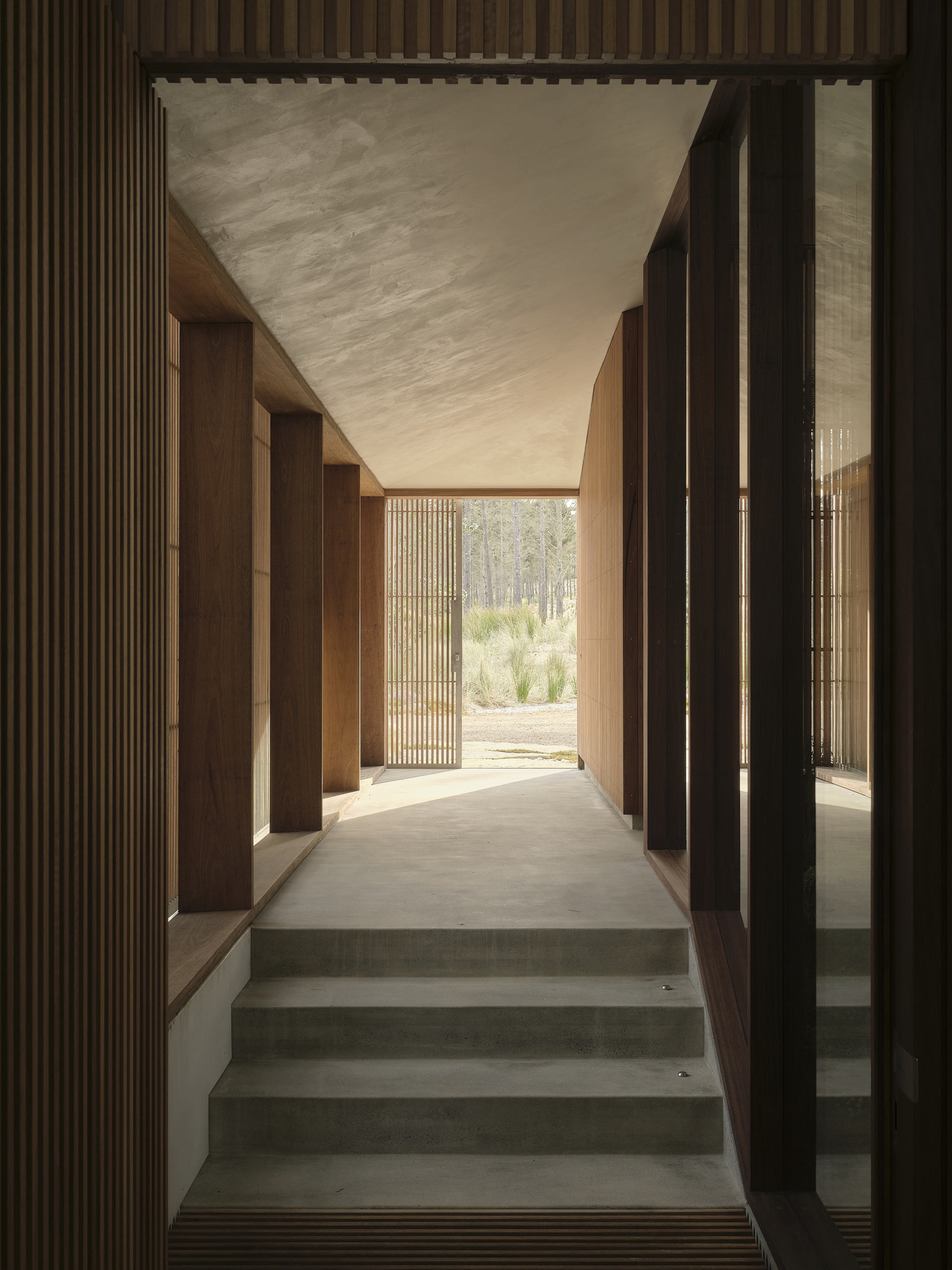 Entry corridor with concrete steps flanked by timber battened walls and angled ceiling opening to landscape