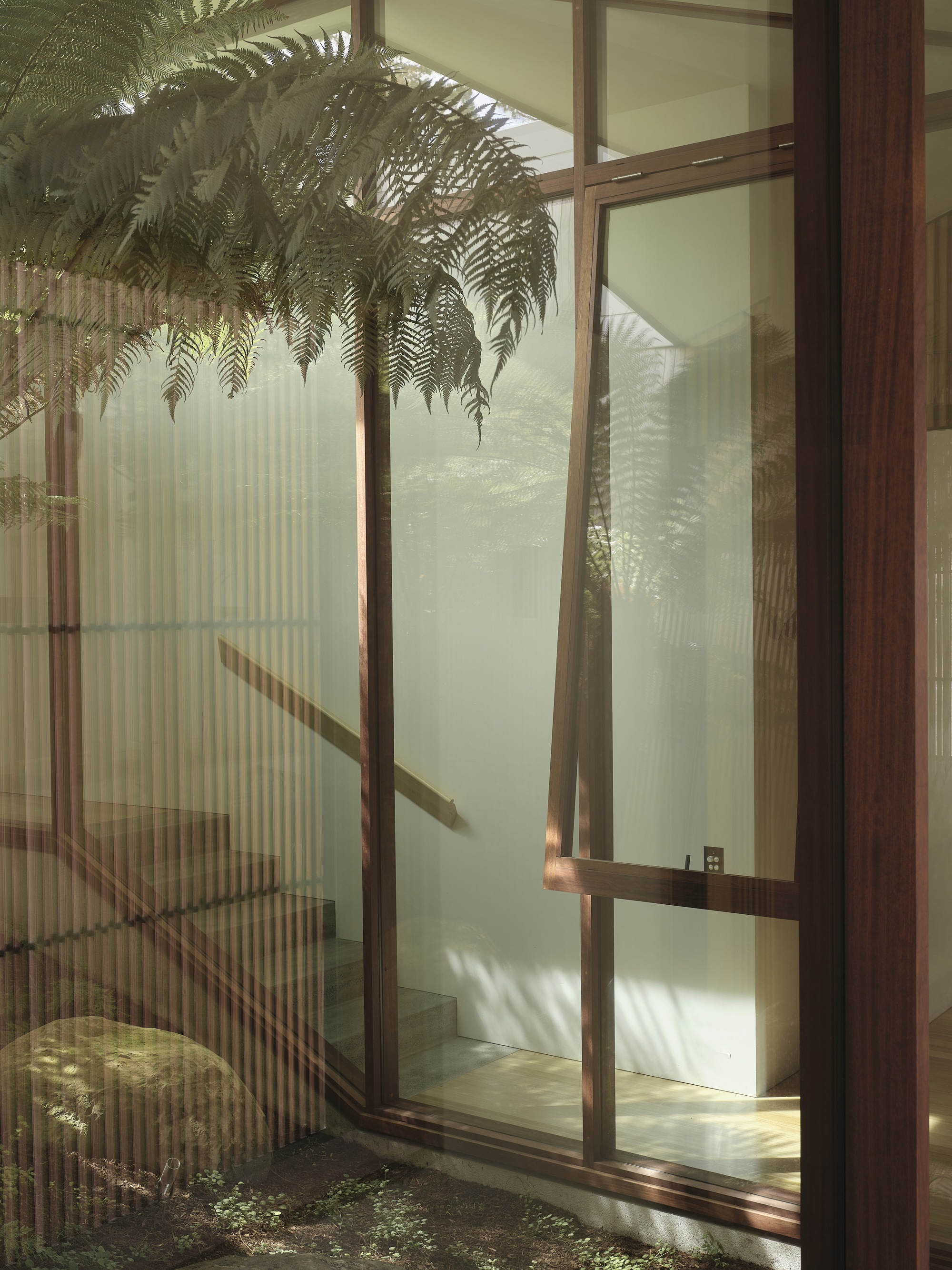 Floor-to-ceiling glazing with timber frames looking onto an interior courtyard garden with ferns and sunlight