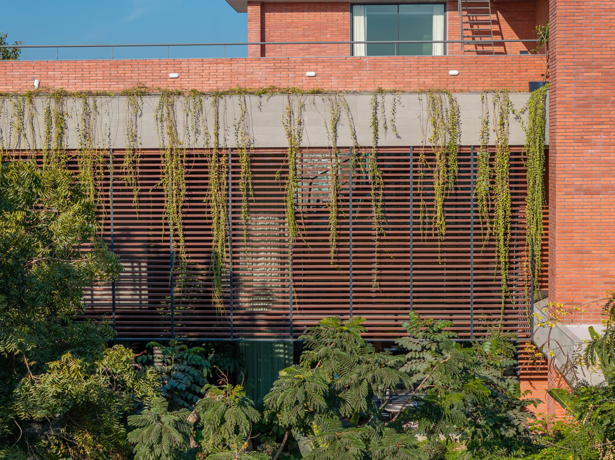 Horizontal timber louver screen with trailing vines above a planted garden and red brick base