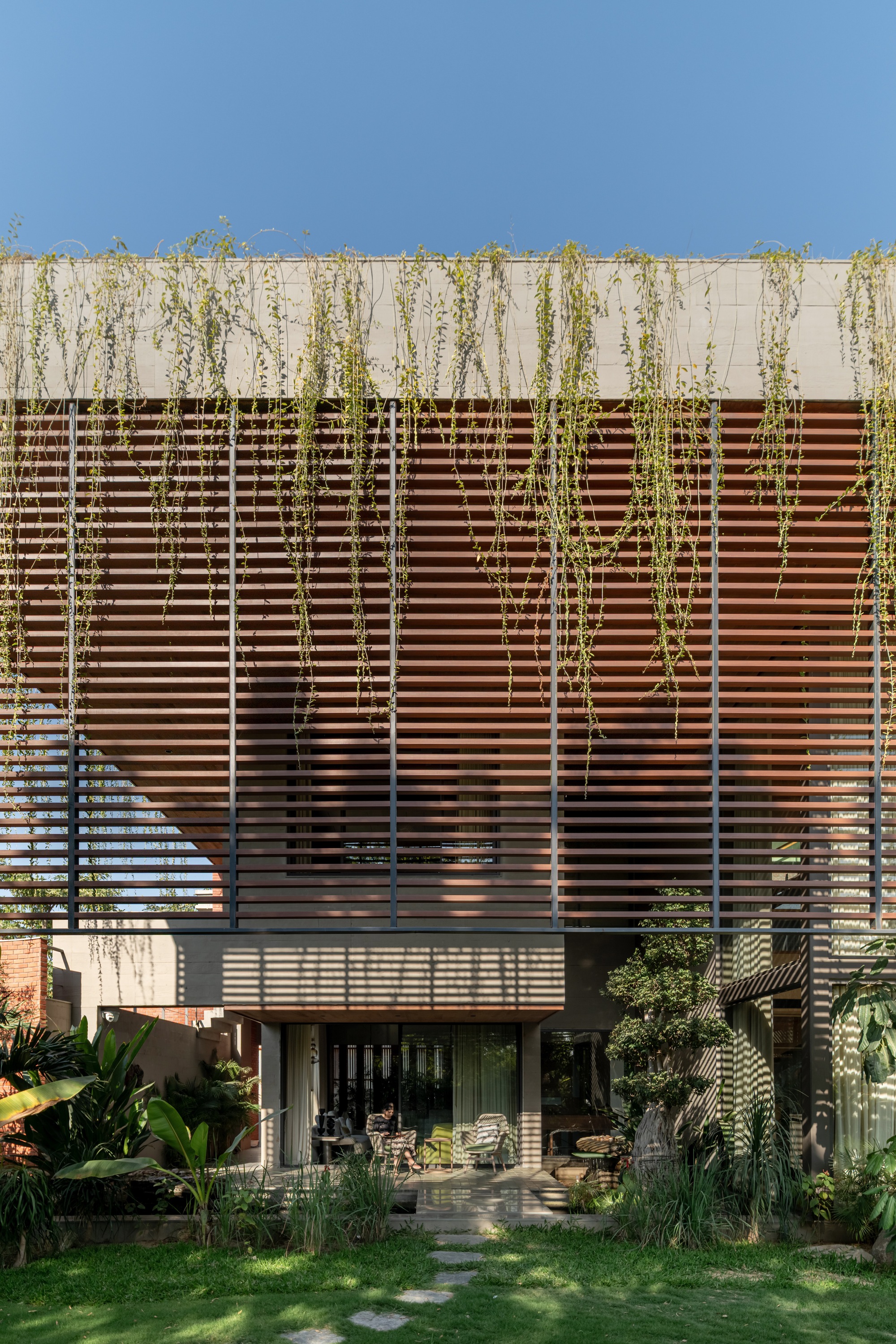 Layered facade with concrete planter box, timber screen, and draped vegetation under a clear sky