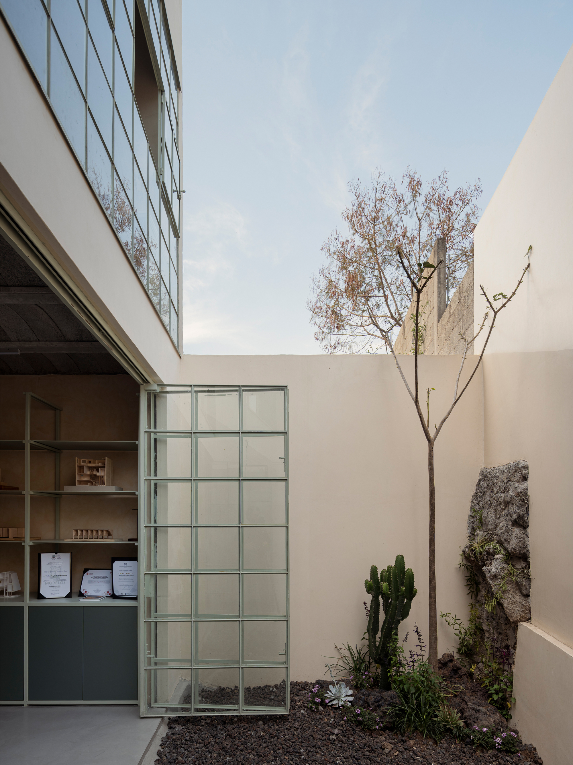 Interior courtyard with planted bed containing cactus and volcanic rock beneath a bare tree and open sky