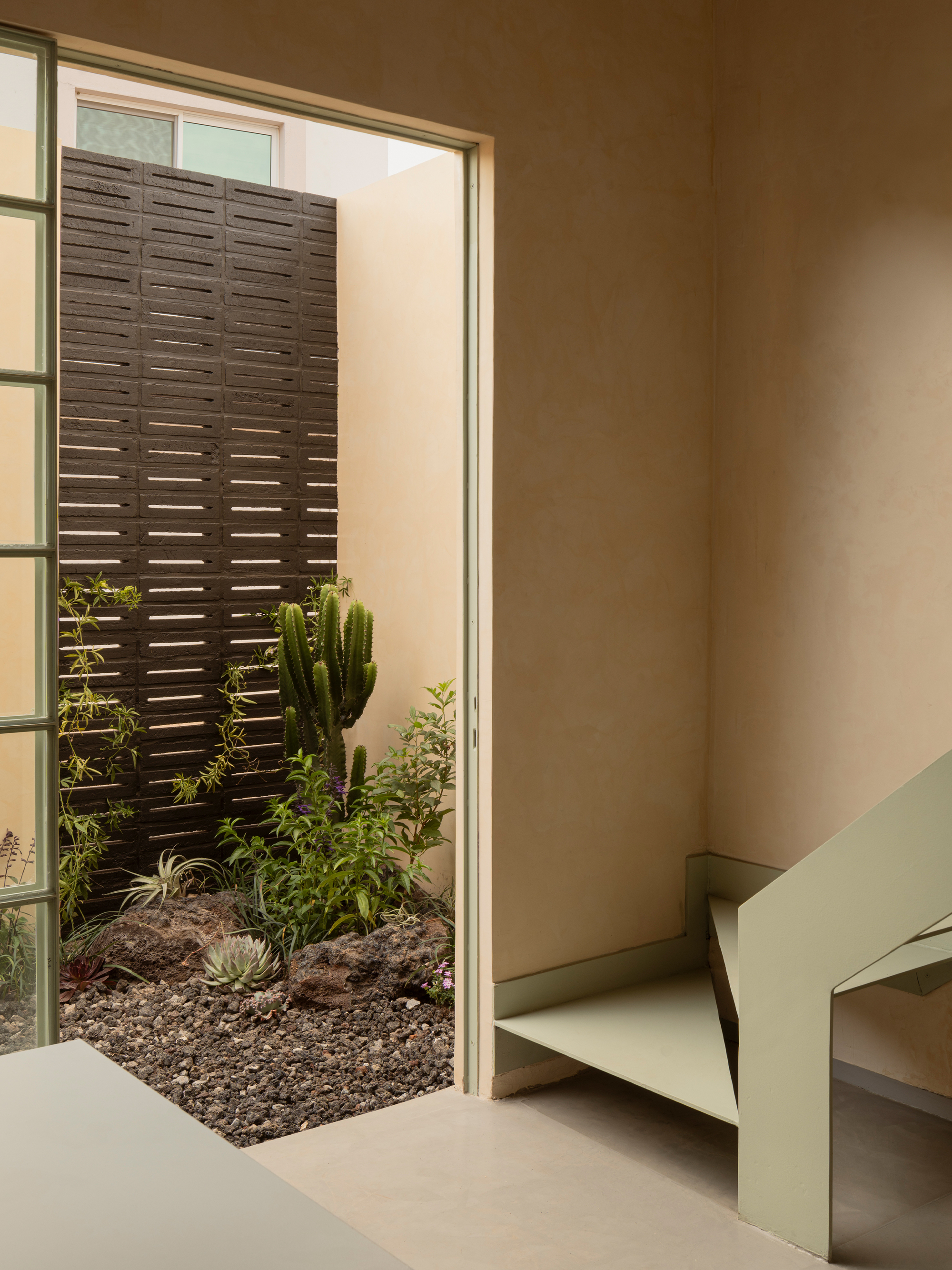 Interior courtyard view with cacti and succulents planted in gravel against a louvered screen