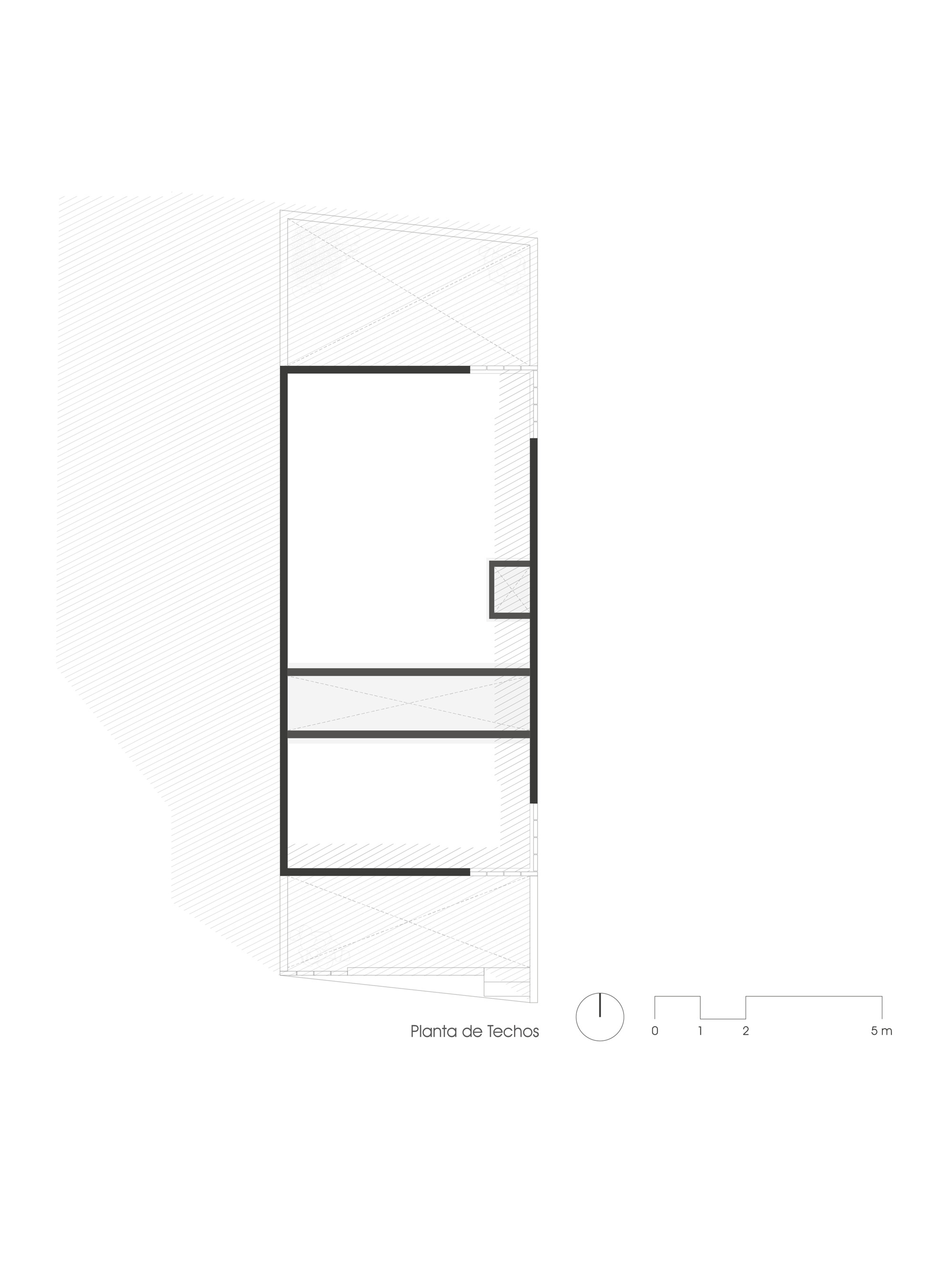 Roof plan showing flat roofs and skylights over the narrow three-story volume