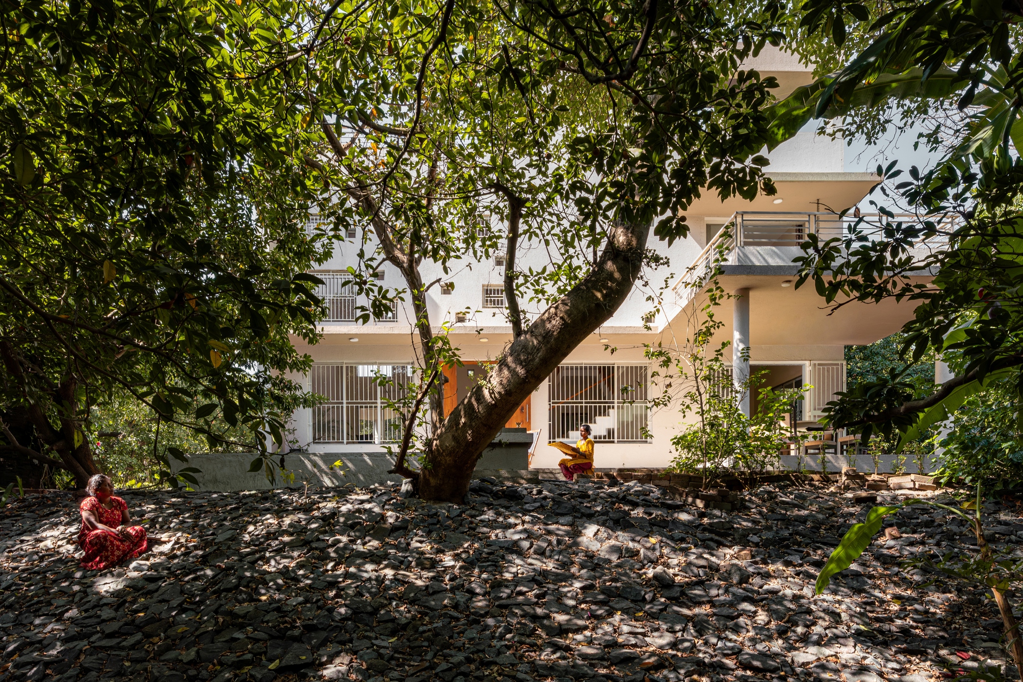 Two figures seated beneath a mature tree in a leaf-scattered courtyard before a white residential facade