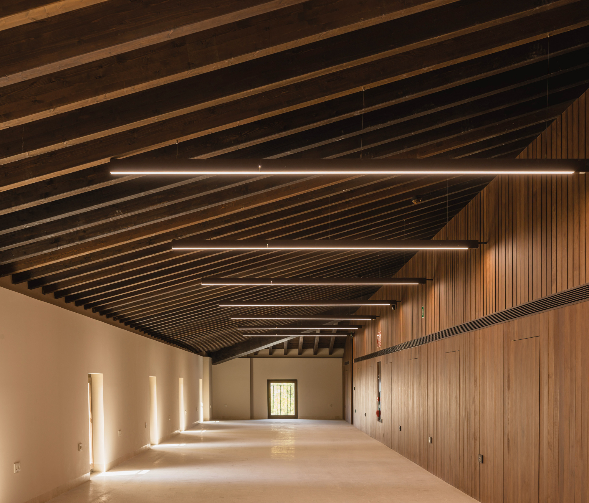 Interior hall with exposed timber rafter ceiling and linear suspended lighting above timber-clad wall