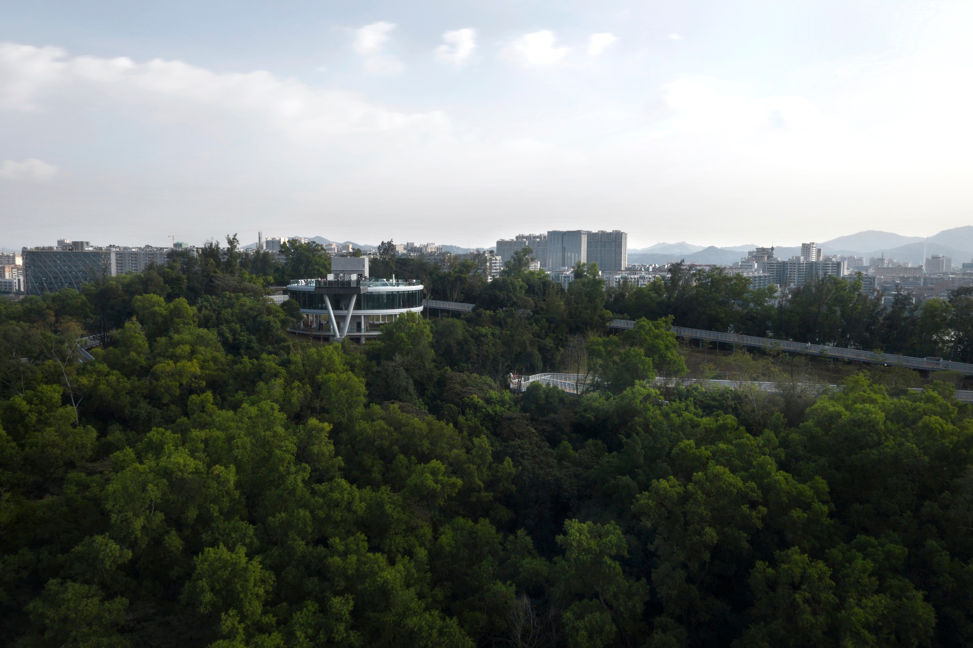 Aerial view of a low building nestled within dense forest canopy with distant urban towers under cloudy skies