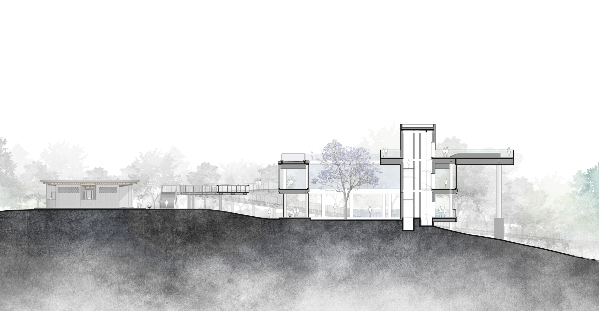 Section drawing revealing multiple levels stepping down a hillside with trees in soft grey tones