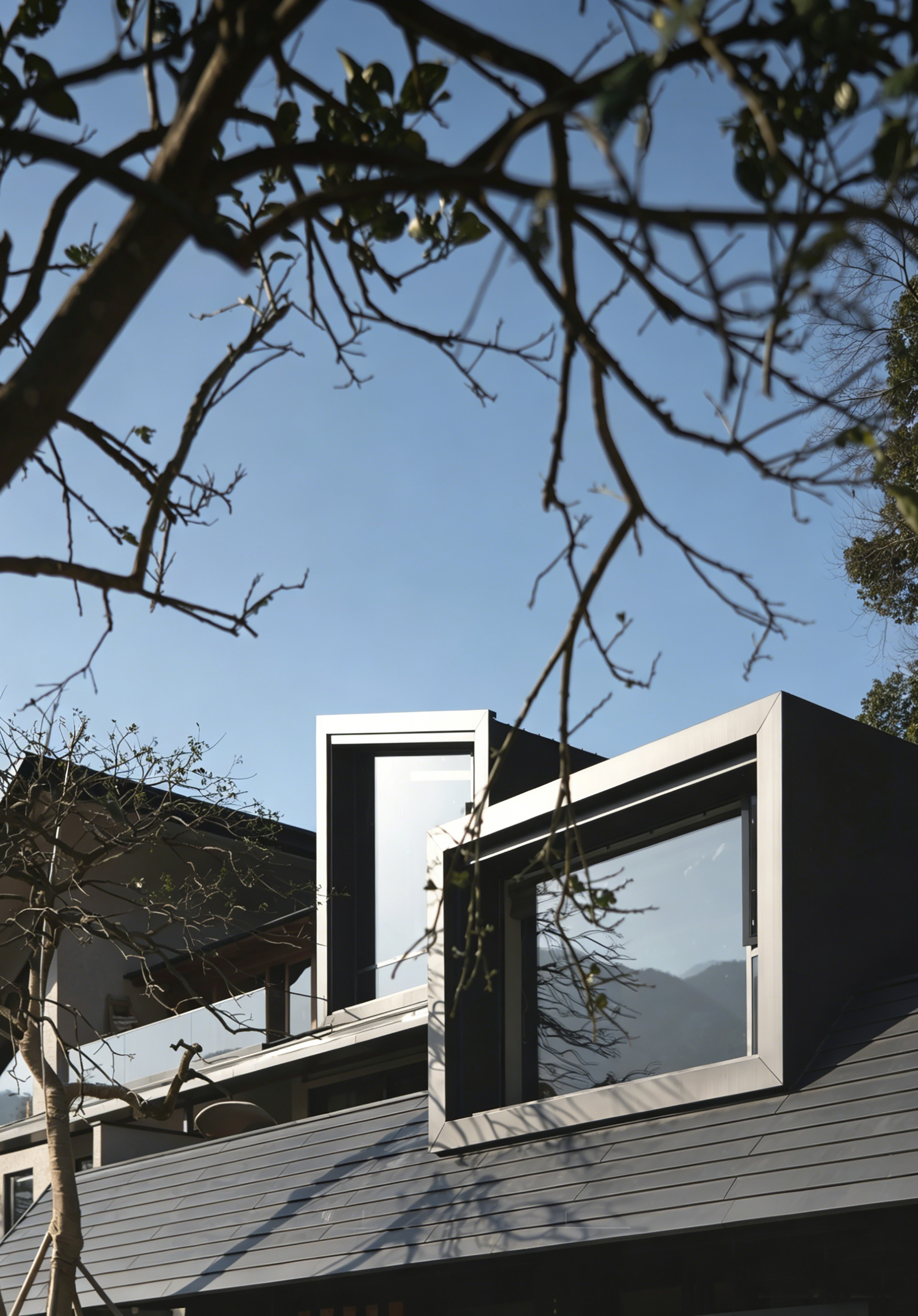Framed skylights rising from horizontal decking seen through bare tree branches against a clear sky