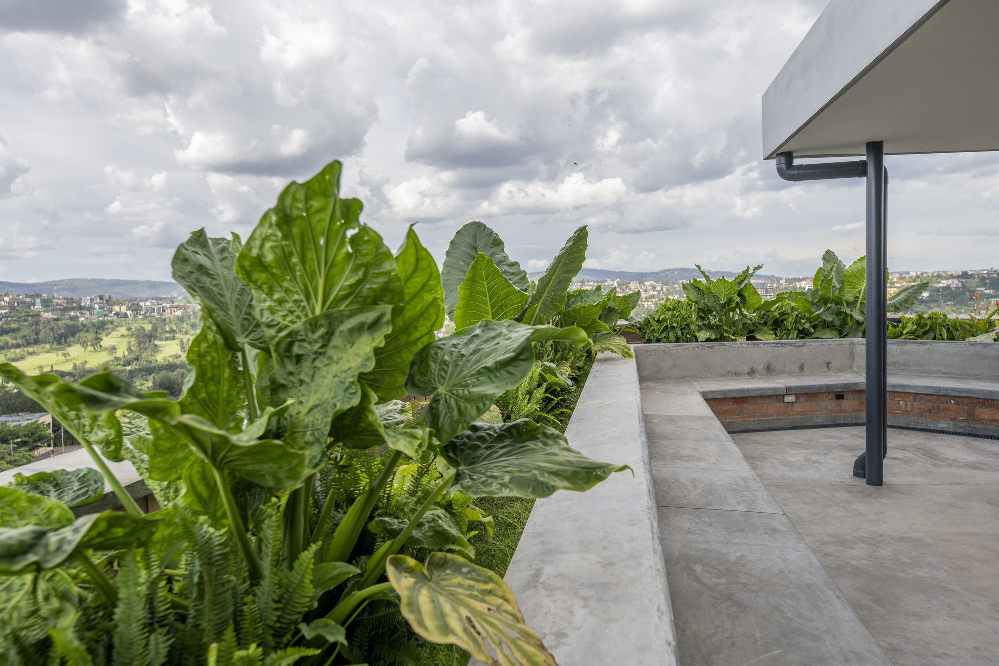 Rooftop terrace with concrete planters containing large-leafed tropical plants under cloudy skies
