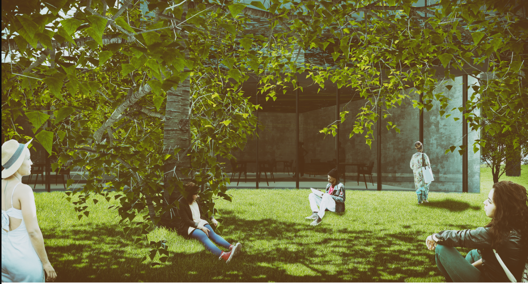 A shaded courtyard creates a calm setting for rest, reflection, and connection with nature.