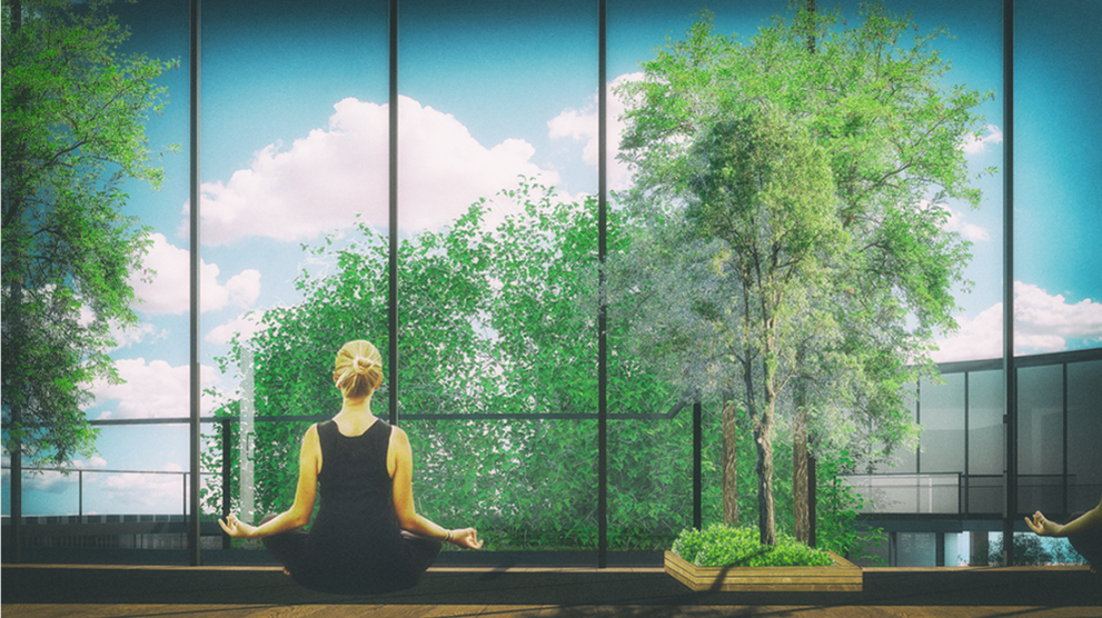 Meditation spaces maintain a strong visual connection with trees and the central courtyard.