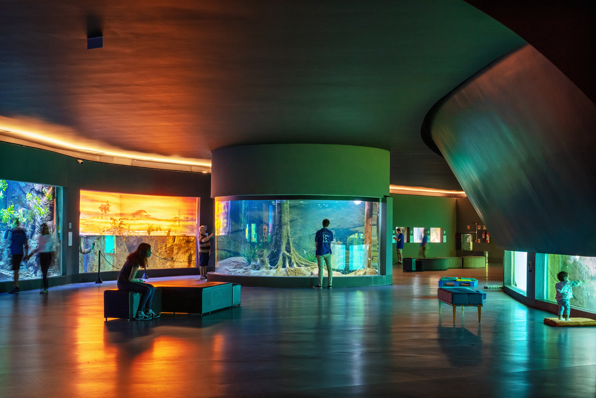 Exhibition gallery with cylindrical aquarium and backlit display cases under curved cove lighting at evening