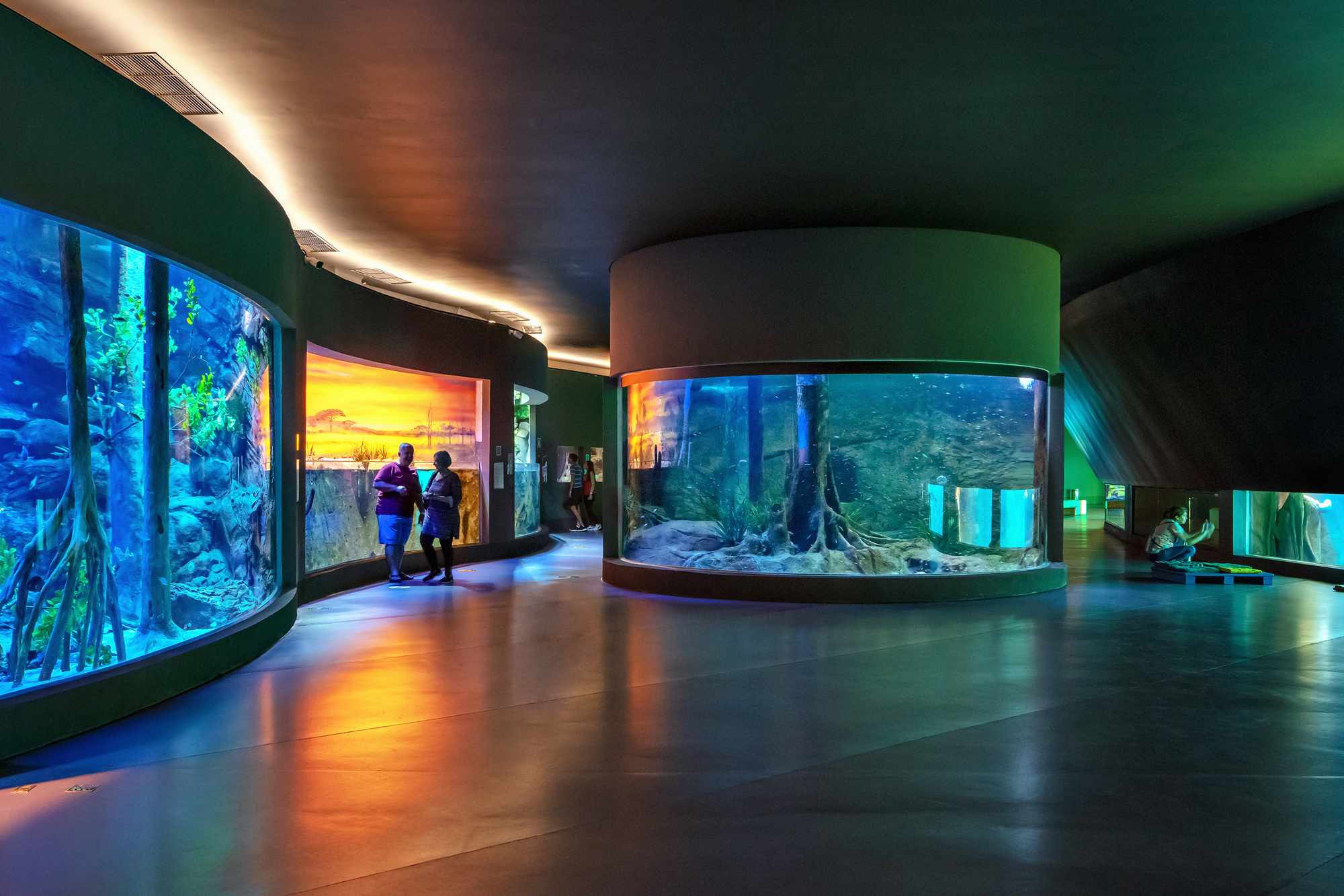 Curved aquarium tanks along green walls with visitors moving through the dimly lit gallery space