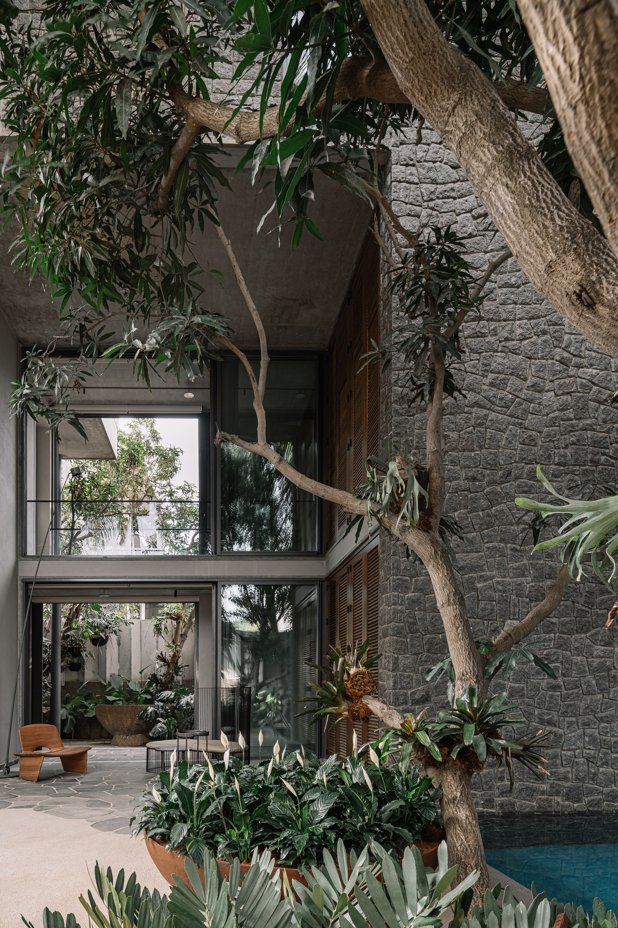 Courtyard with textured stone wall, branching tree trunks, and planted beds beside a pool edge