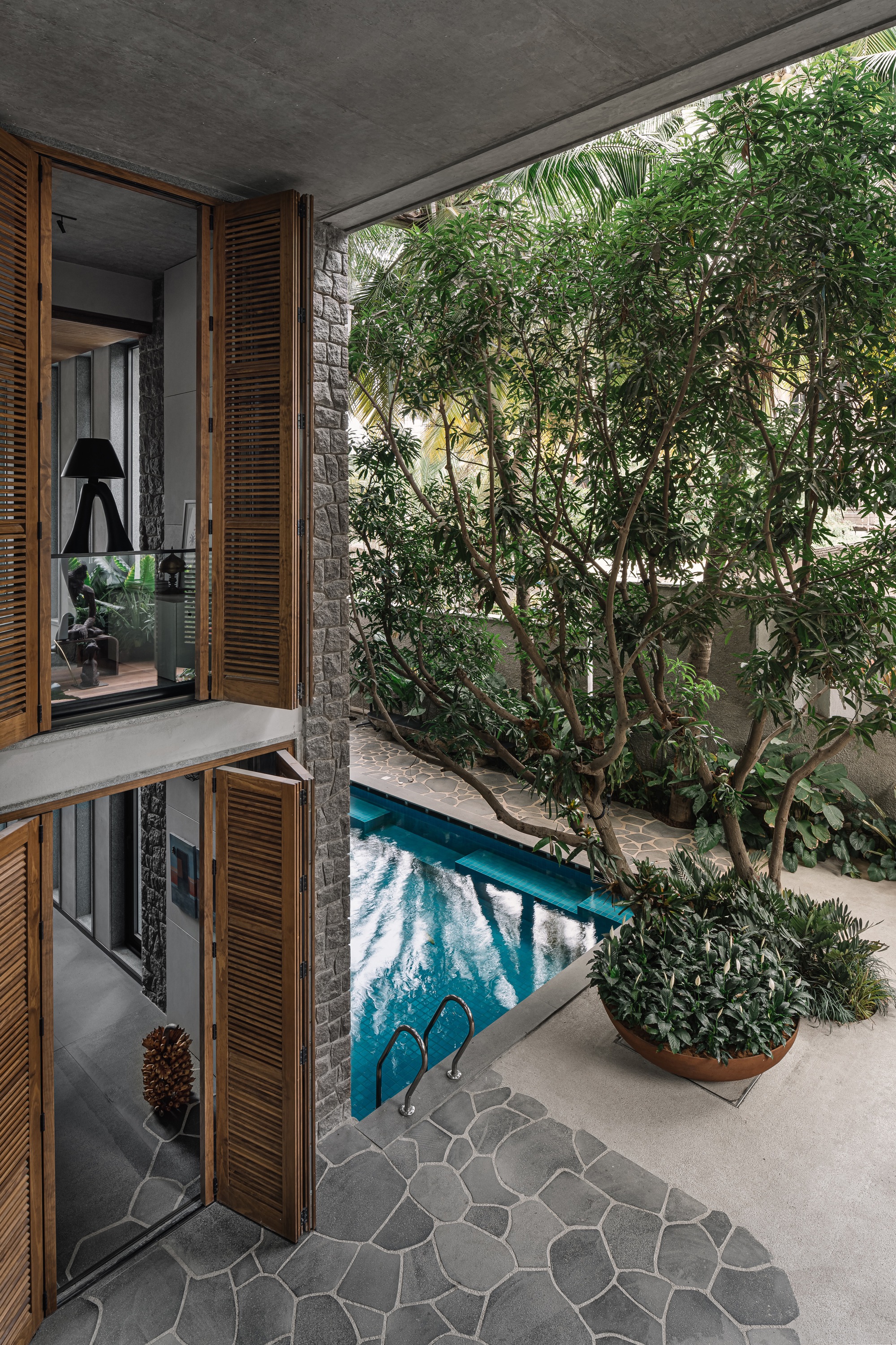 Internal courtyard with turquoise pool, mature tree, and timber louvered doors opening to interior